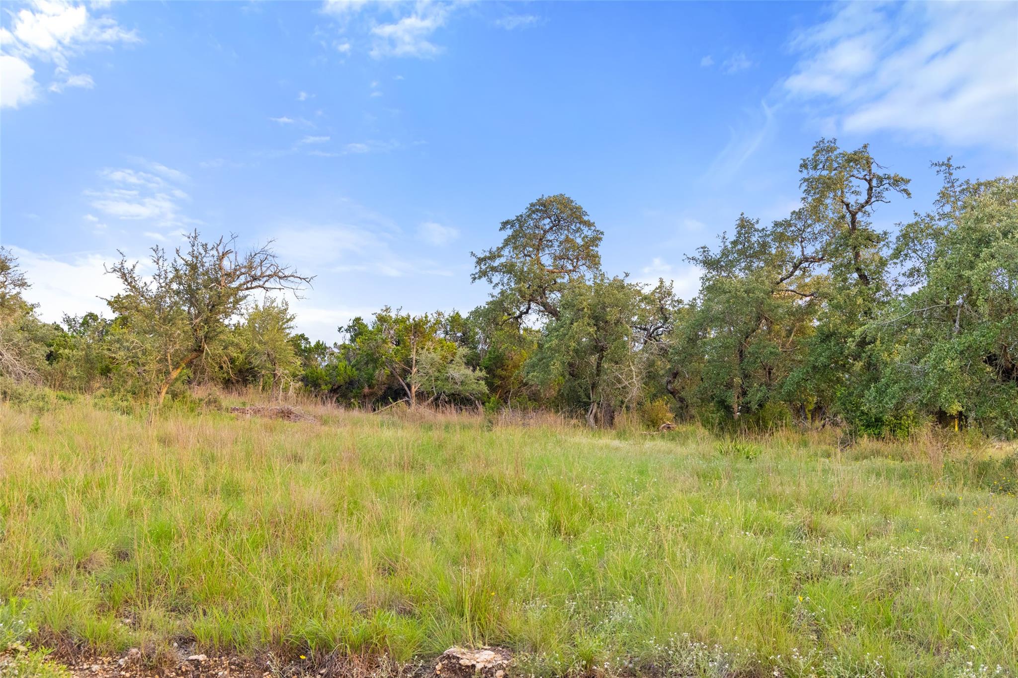 31860 Mirela Ann RD