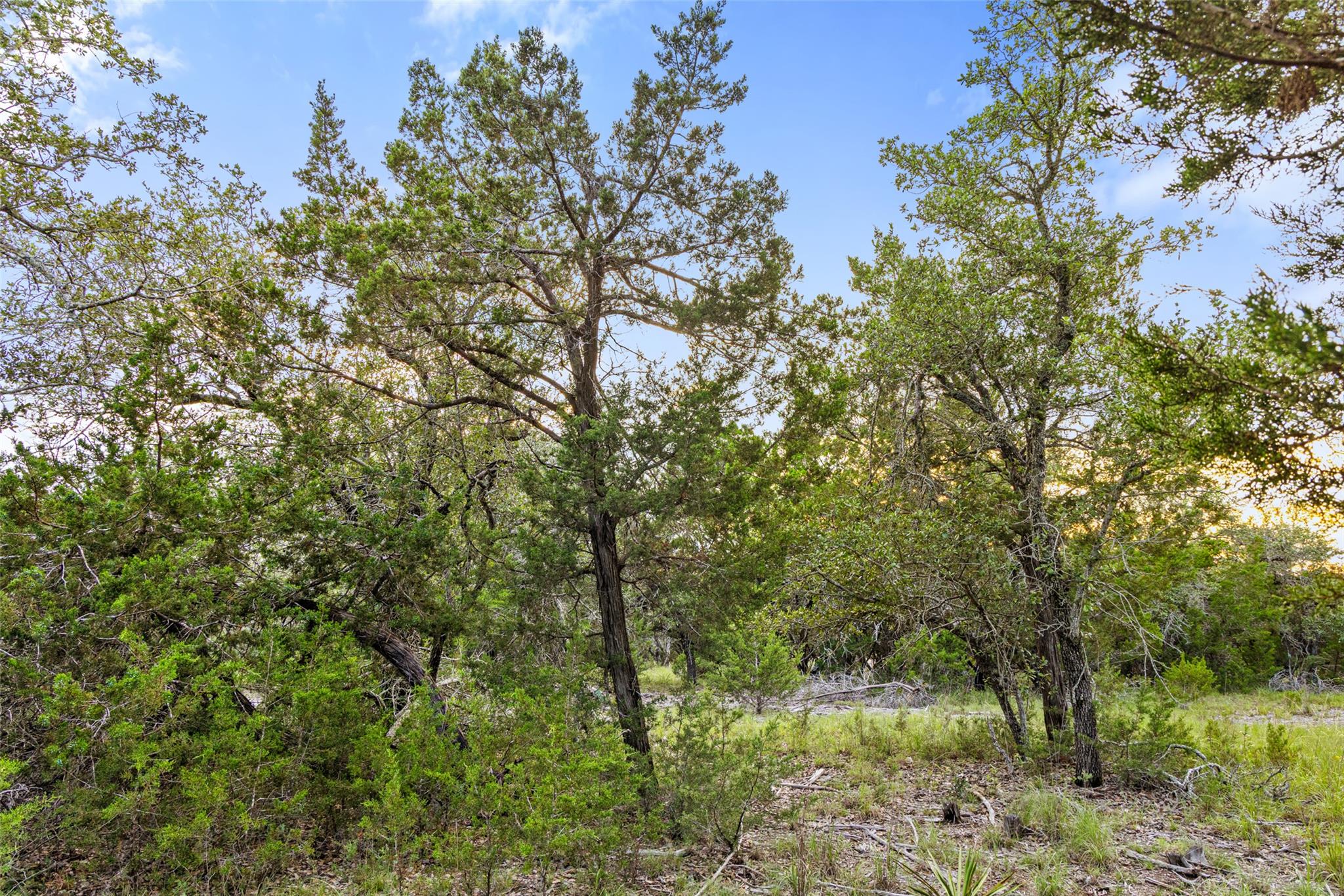 31860 Mirela Ann RD