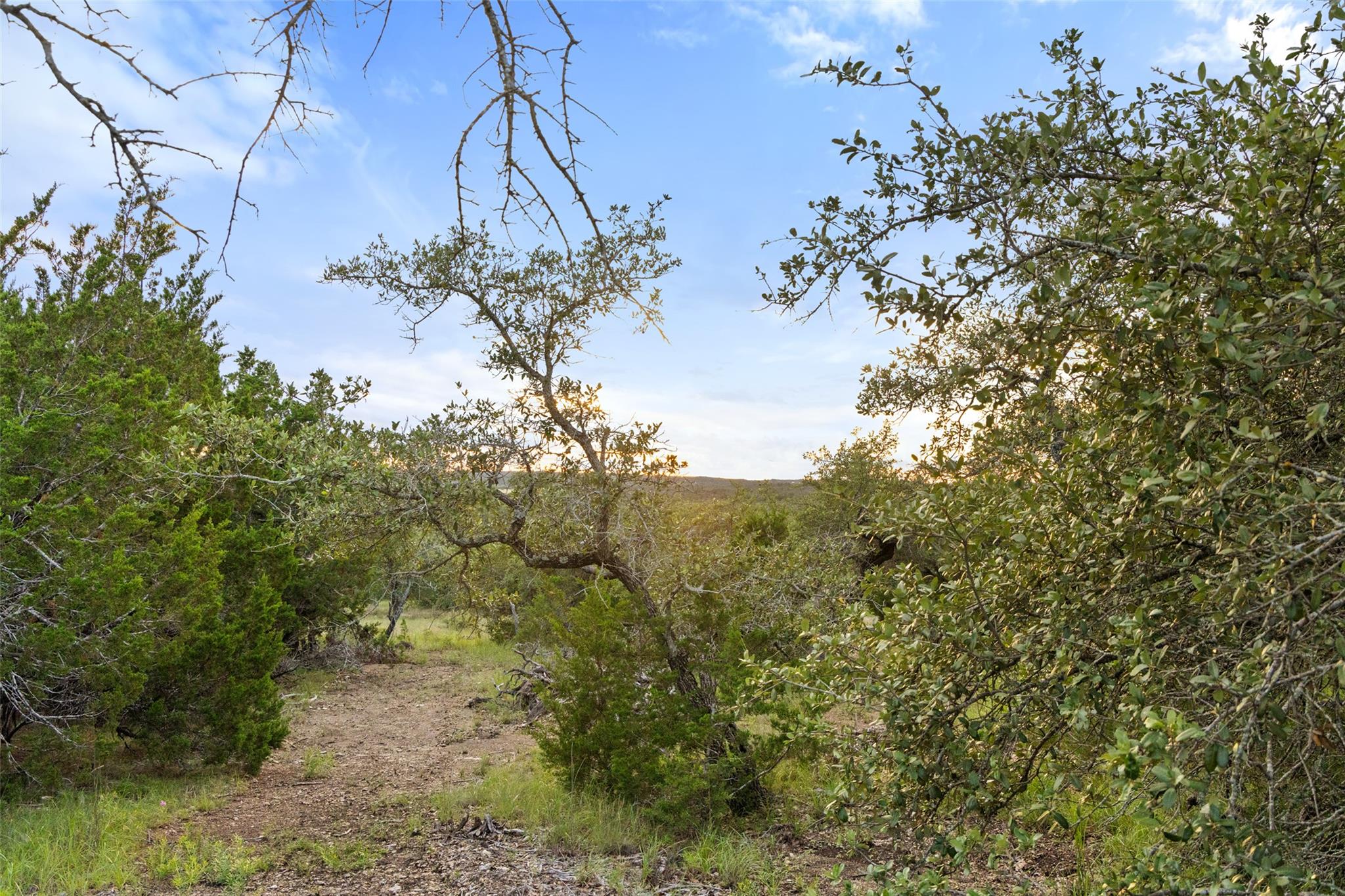 31860 Mirela Ann RD