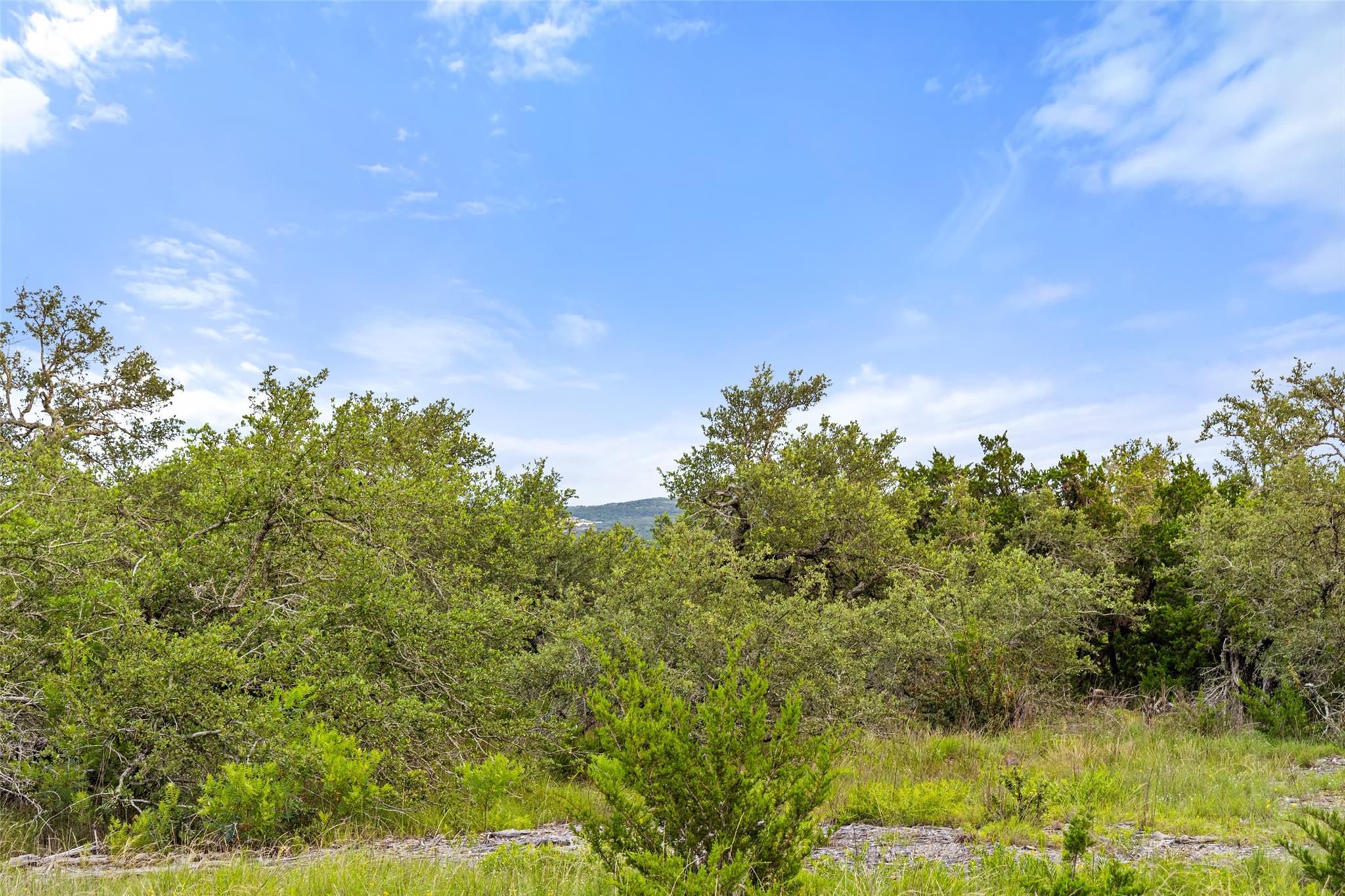 31860 Mirela Ann RD