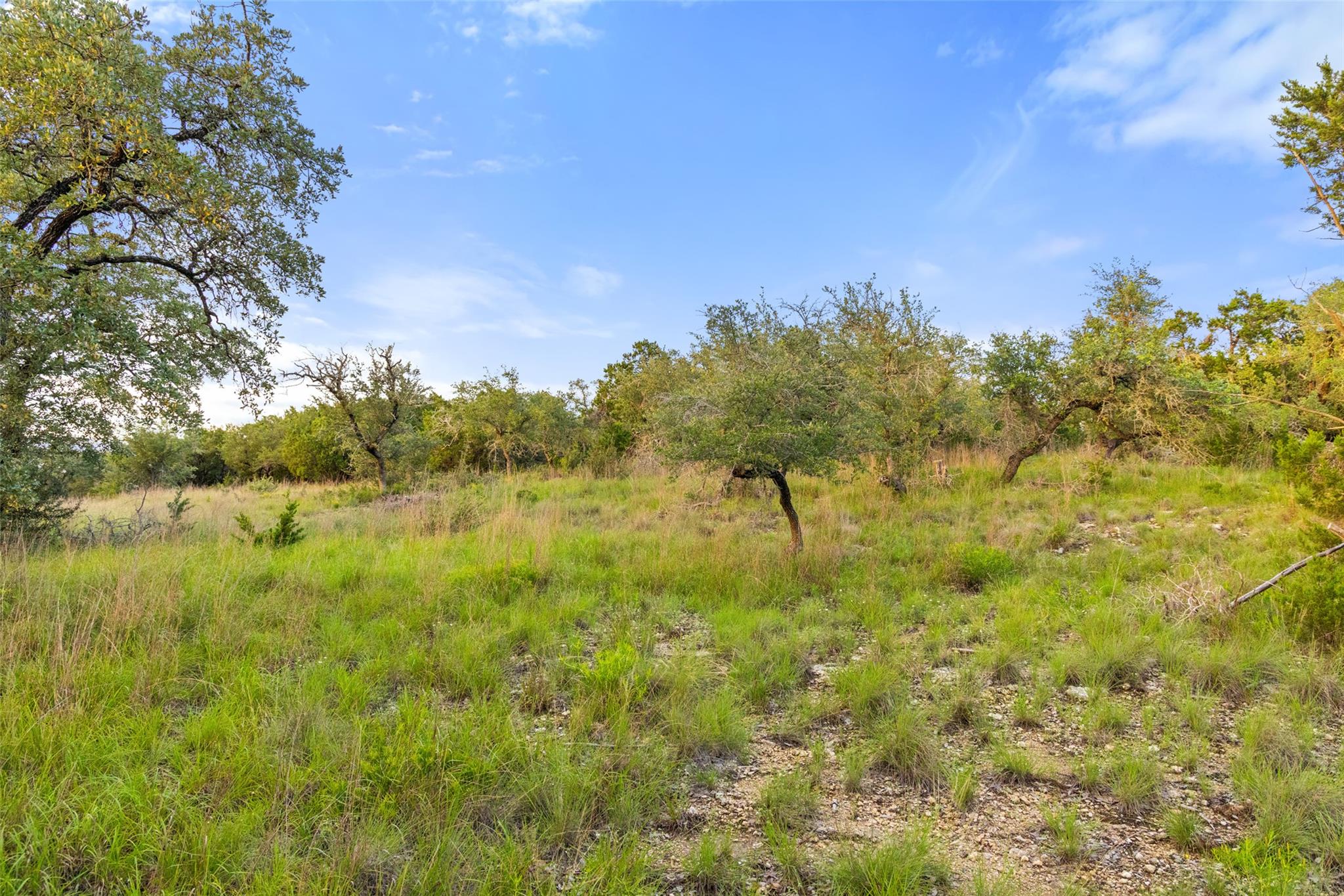 31860 Mirela Ann RD