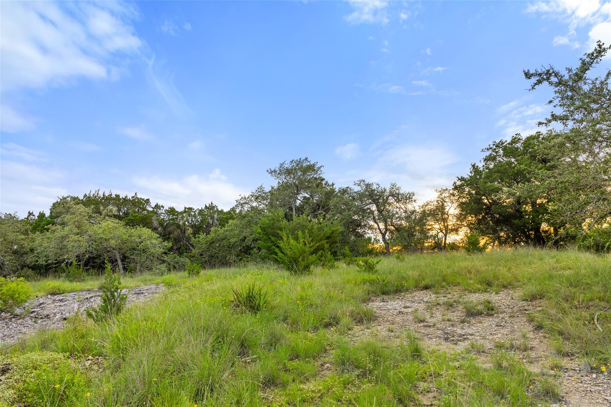 31860 Mirela Ann RD