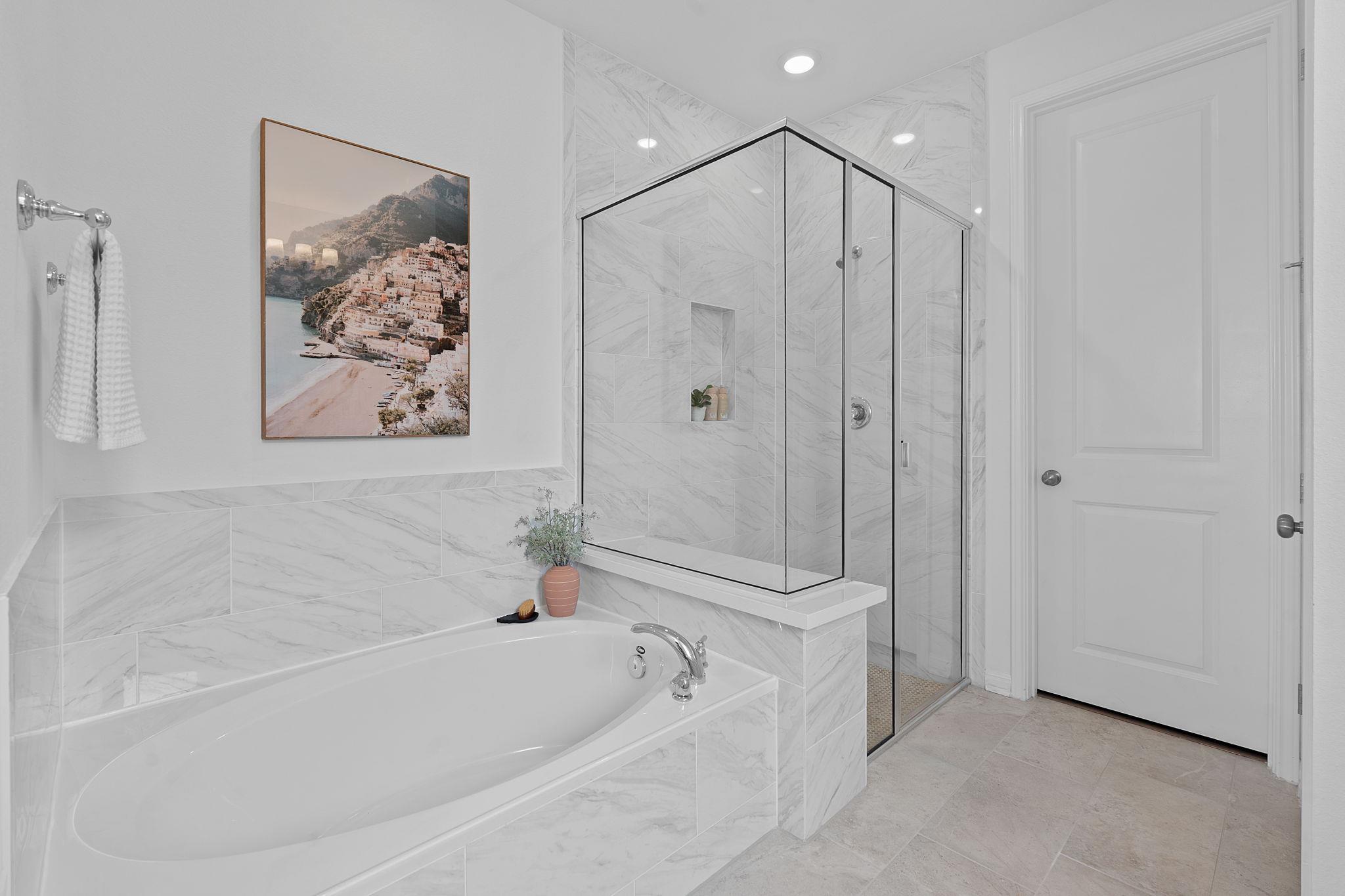 529 Leeward PASS
