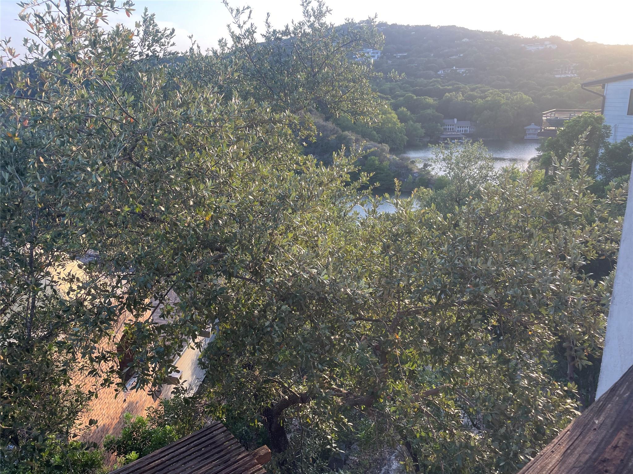 1712 Lakeshore DR # B