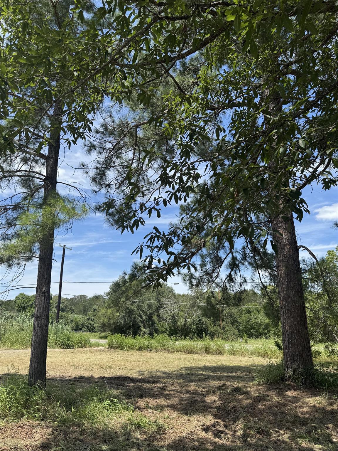 9400 Stockdale Highway Highway