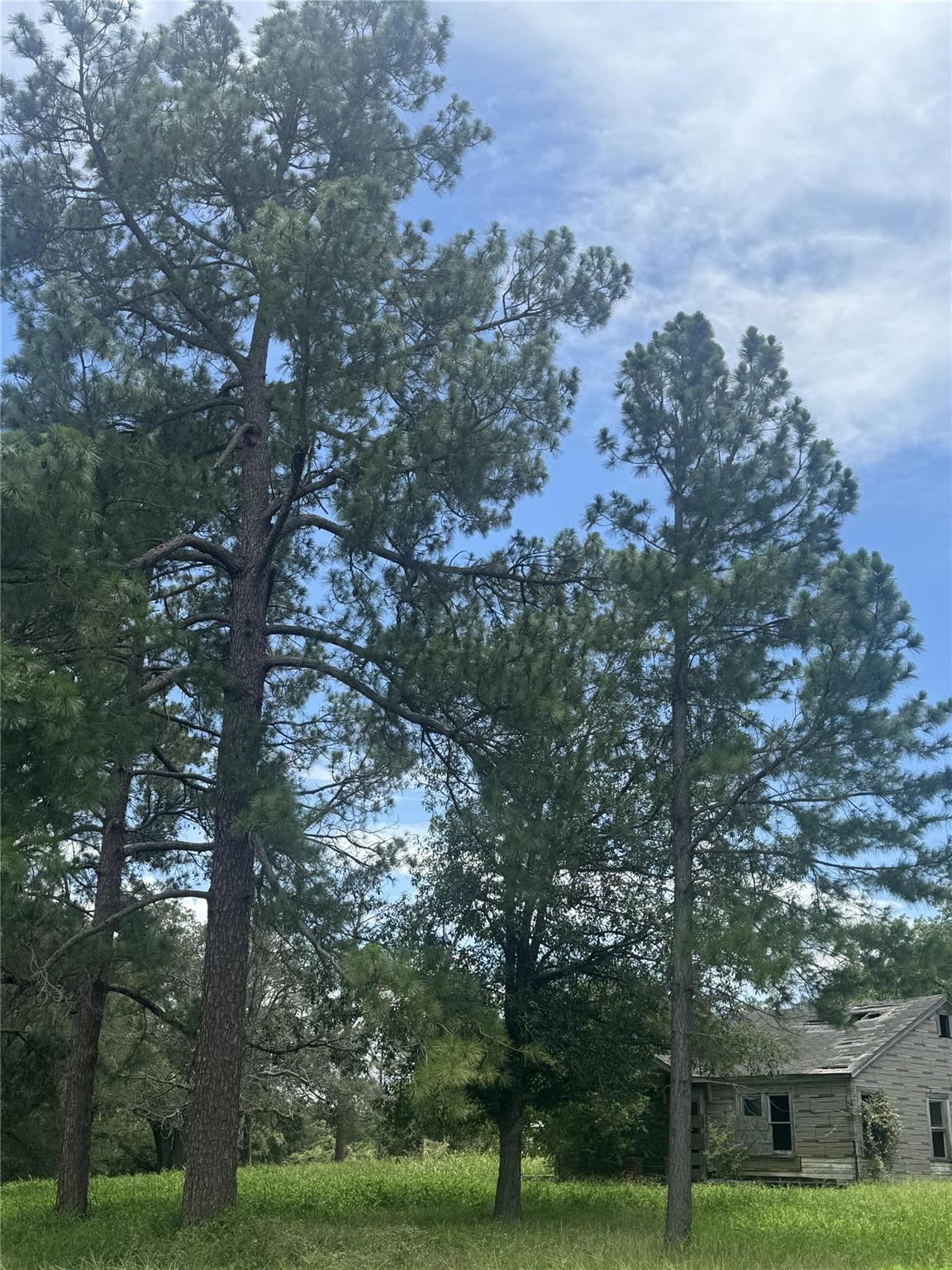 9400 Stockdale Highway Highway