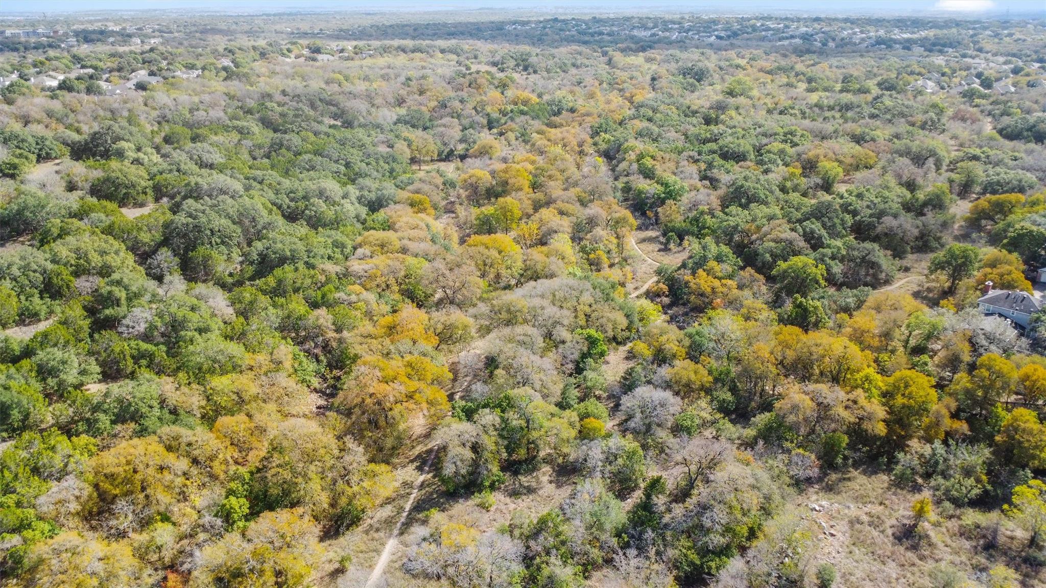 11019 Whiskey River DR