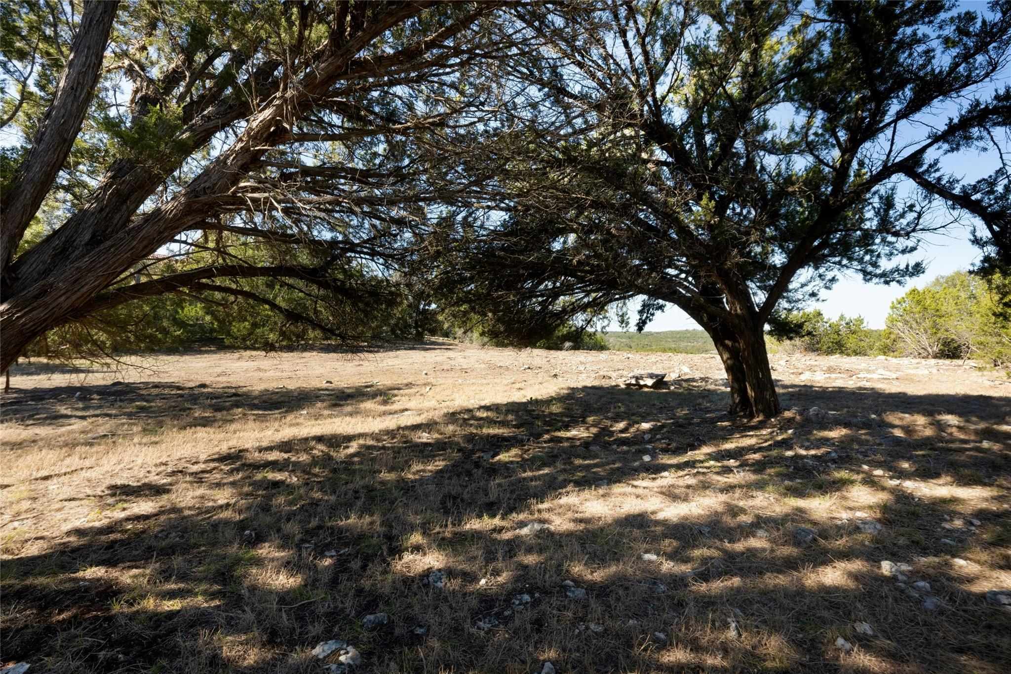 736 Covered Bridge DR