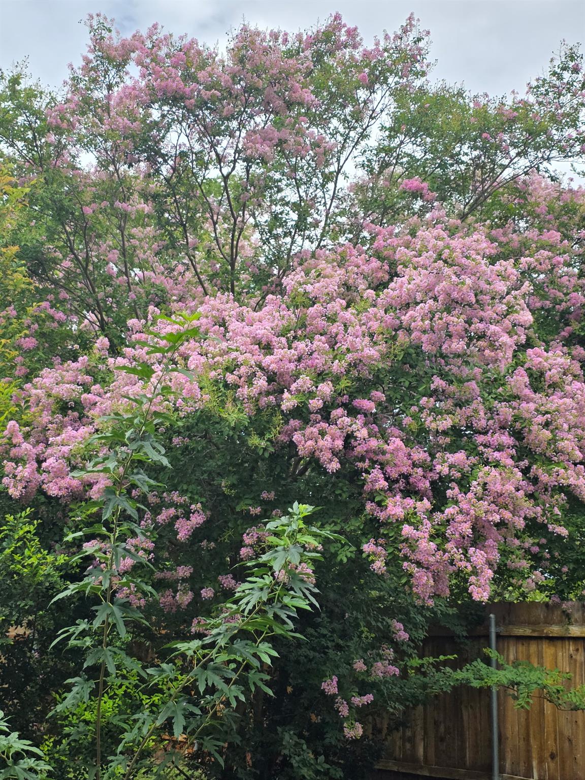 8227 Liberty Walk DR