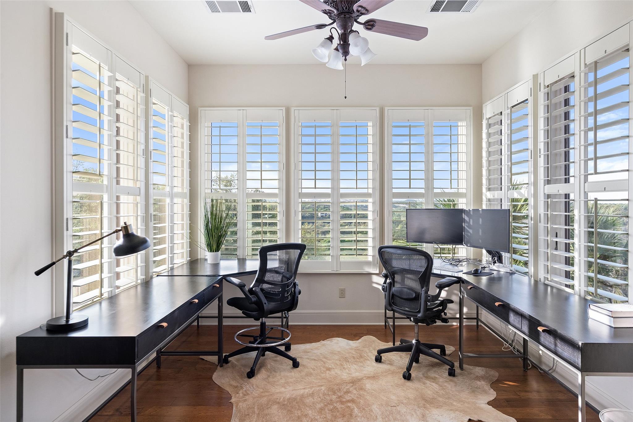 11029 Arroyo Canyon DR, Austin