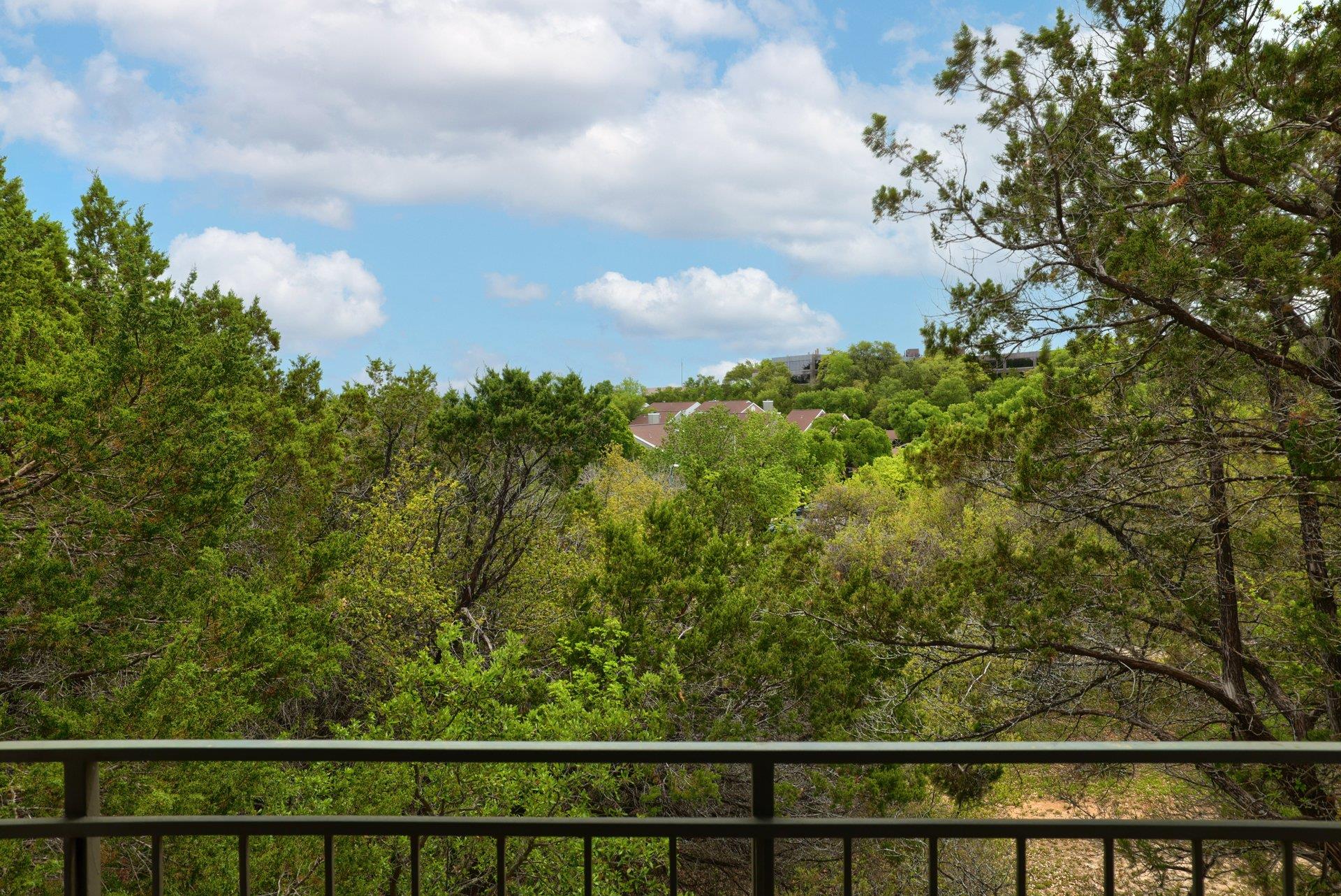 6000 Shepherd Mountain CV # 1711