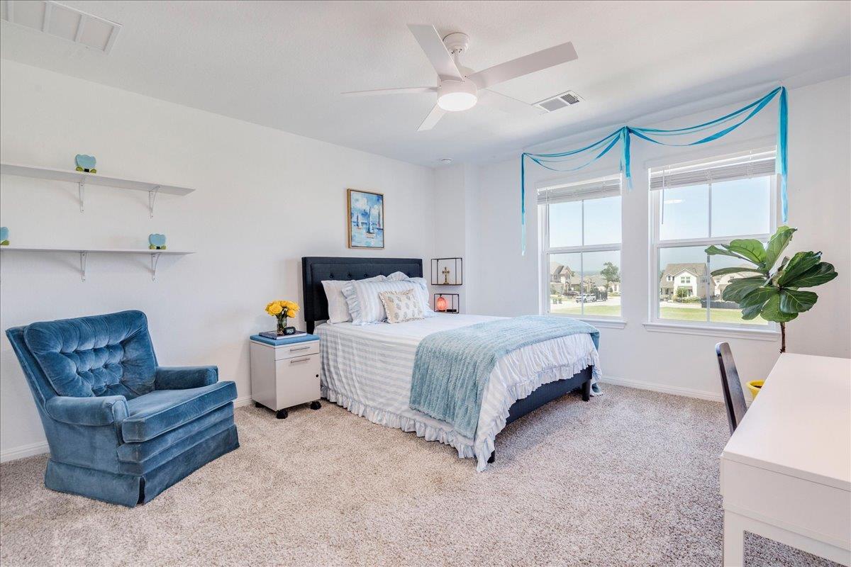 269 Star Mountain LN