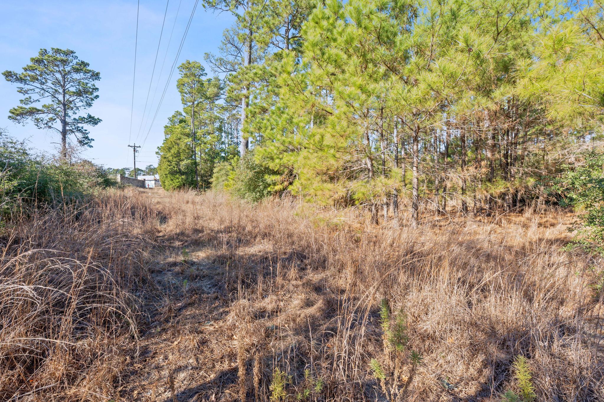 Lot 65 State Highway 21