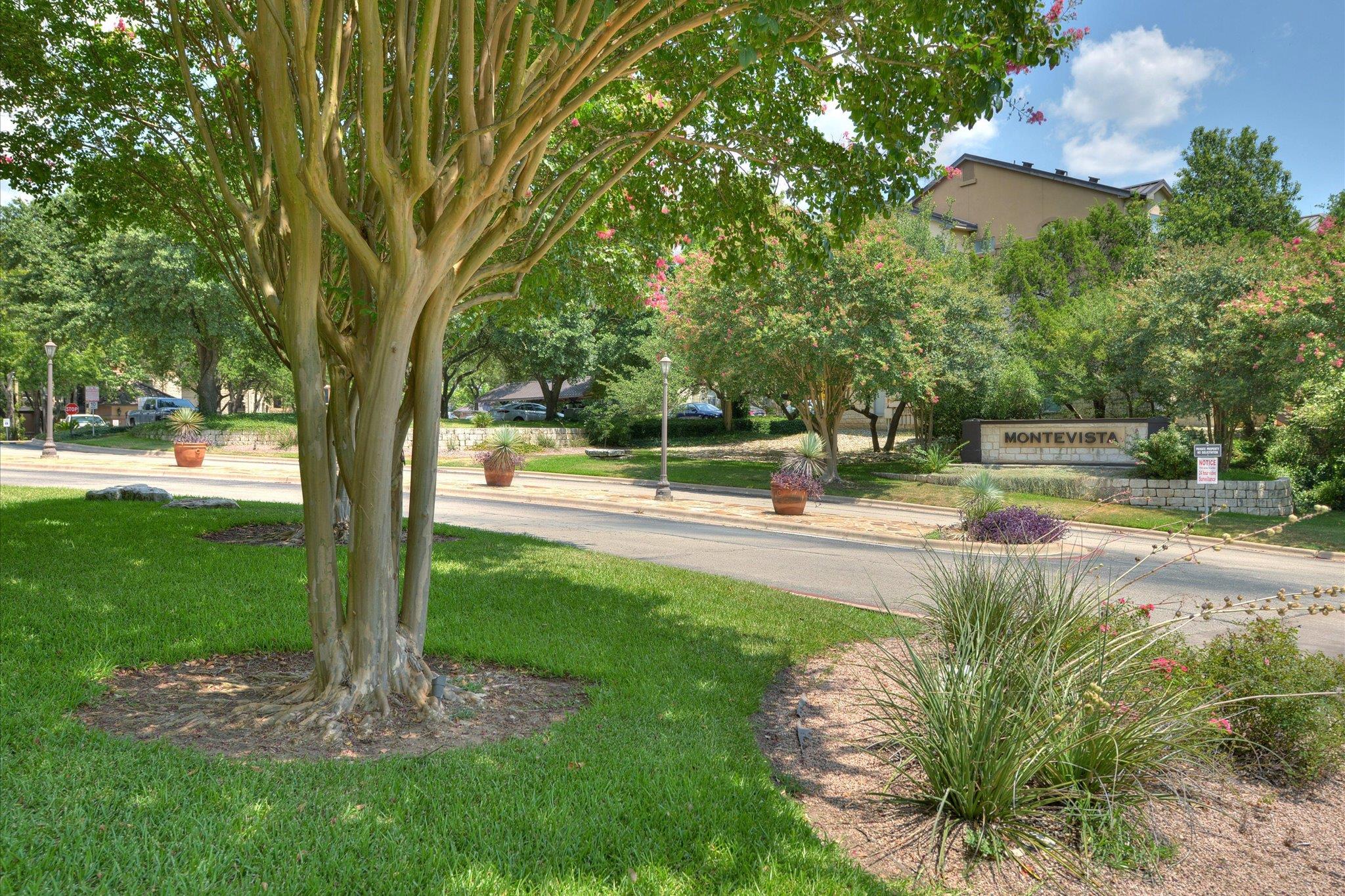 6000 Shepherd Mountain CV # 1805