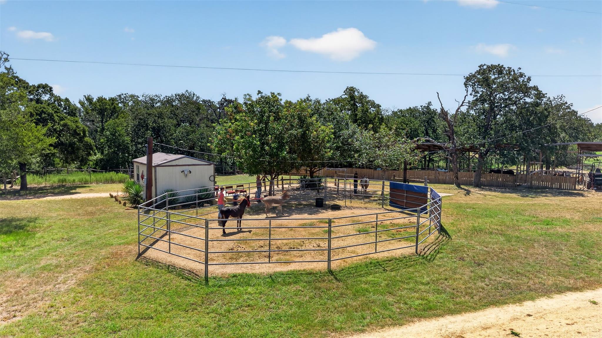 2274 County Road 203 LOOP