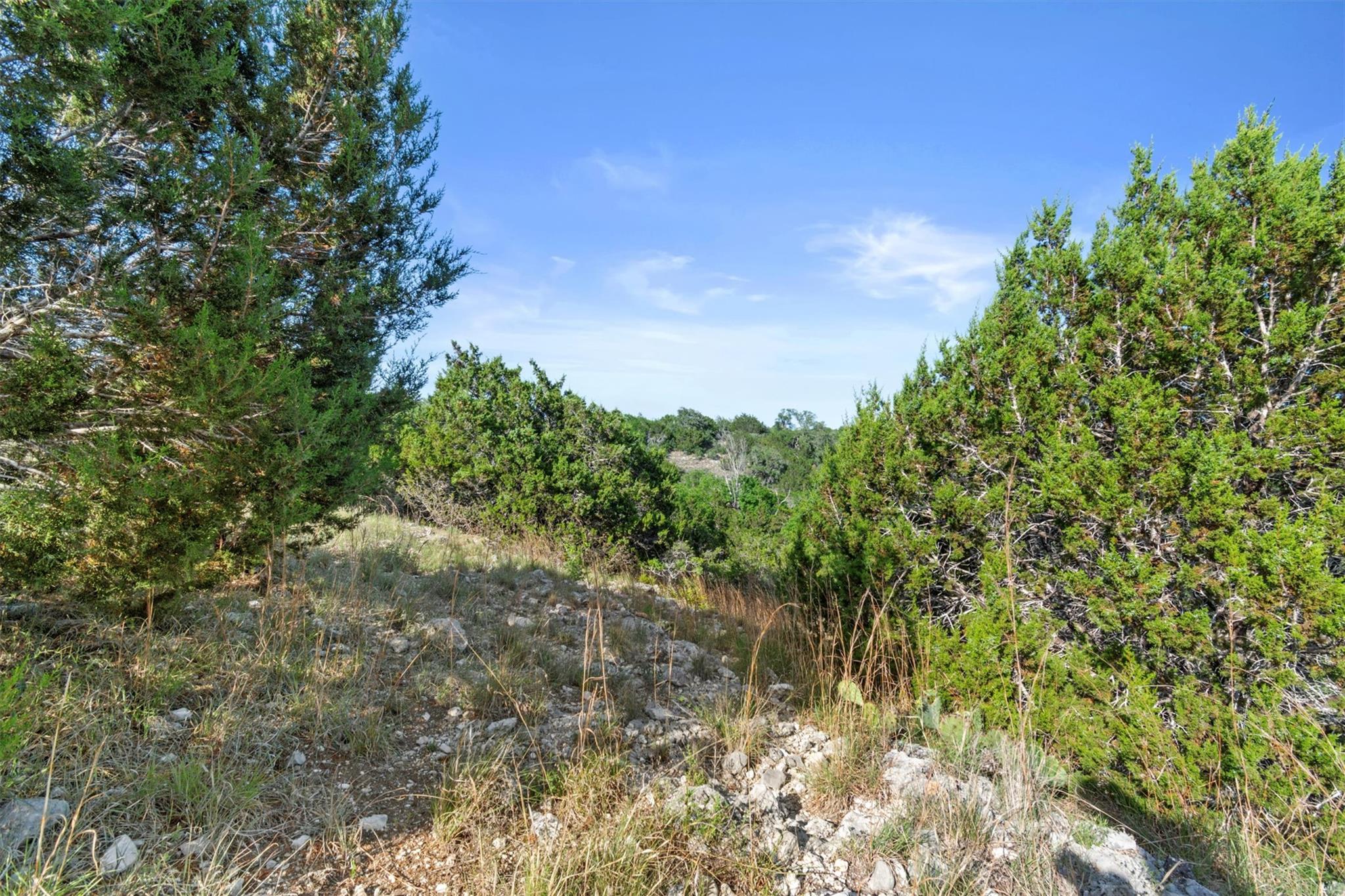 TBD Indian Sky CT