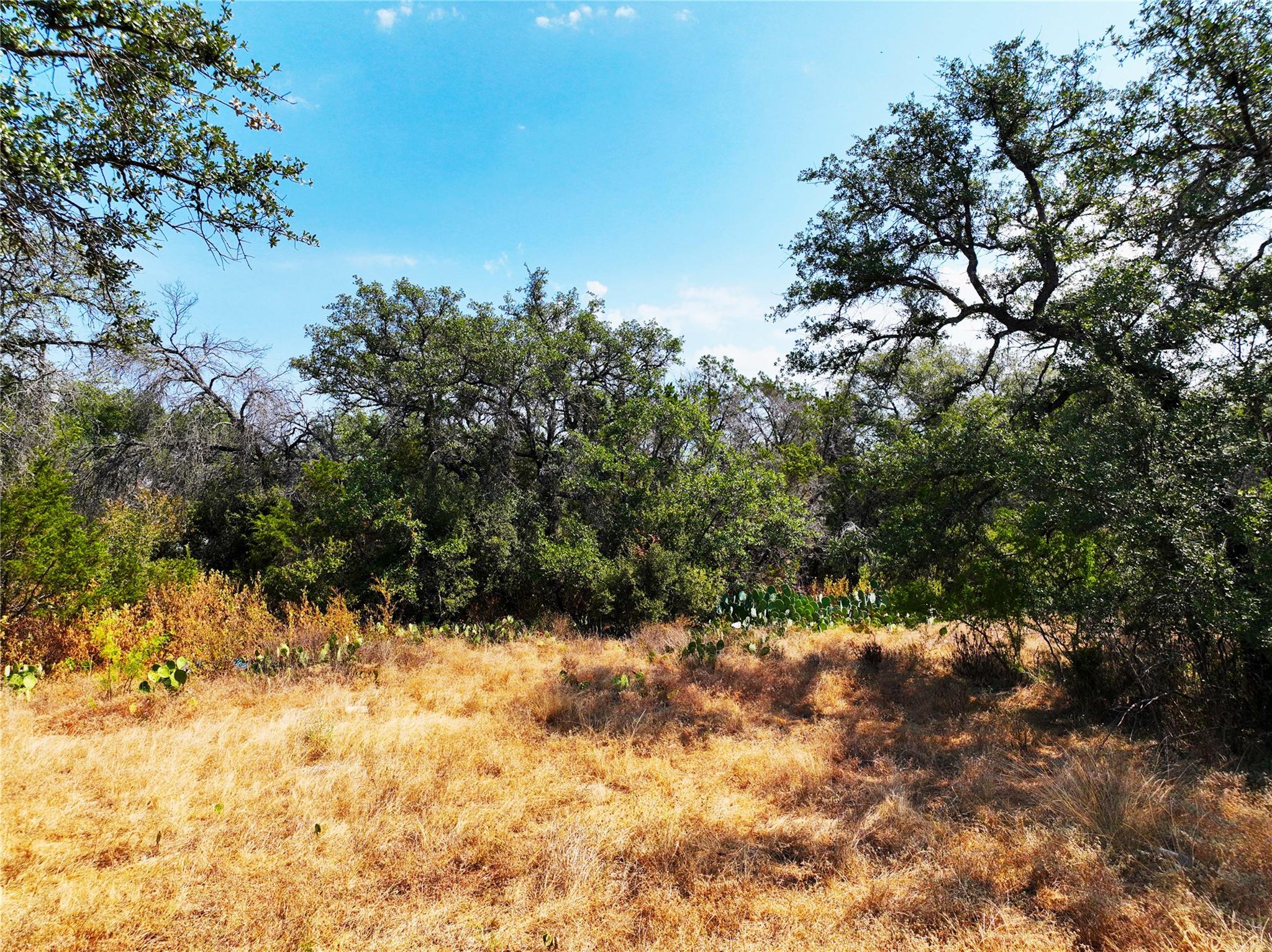 25000 Andrew DR