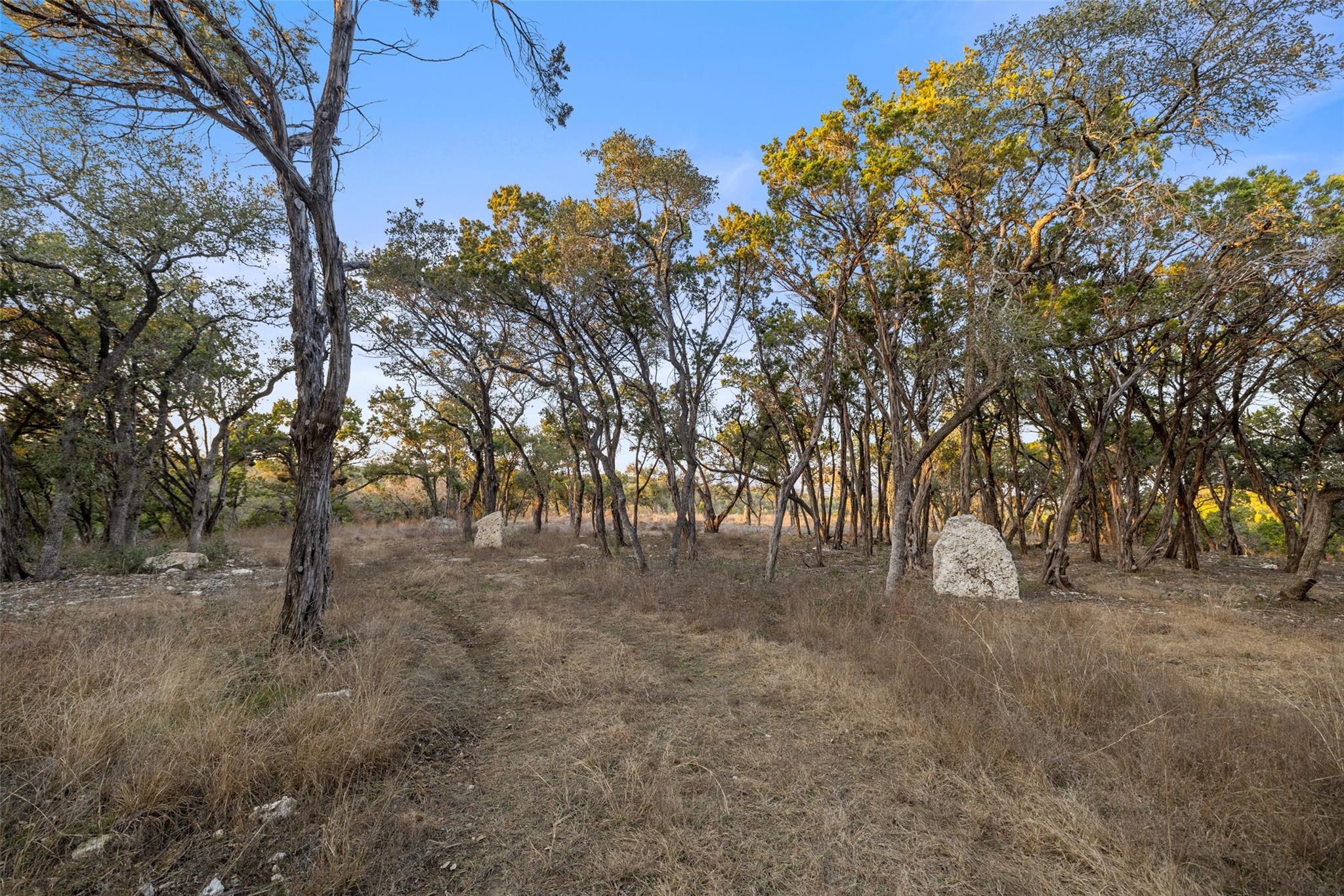 5946 Grotto Creek CT