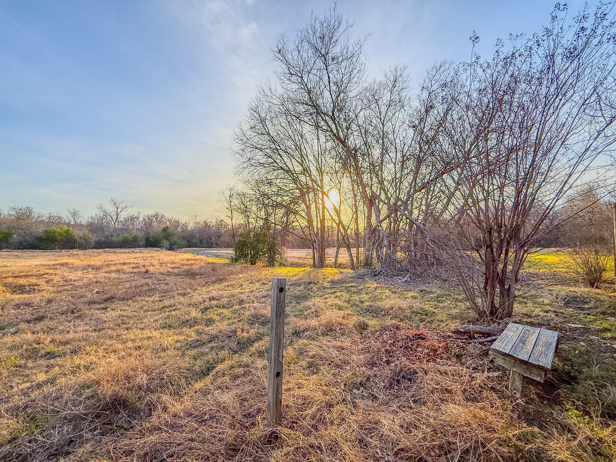 16908 Cactus Blossom DR