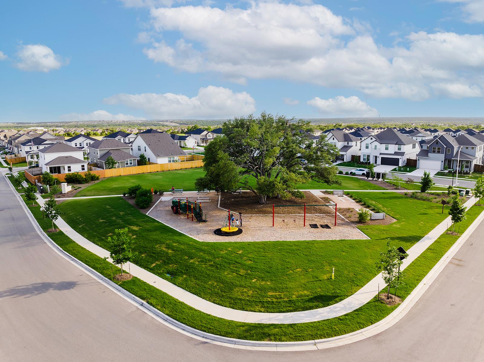 180 Red Buckeye LOOP