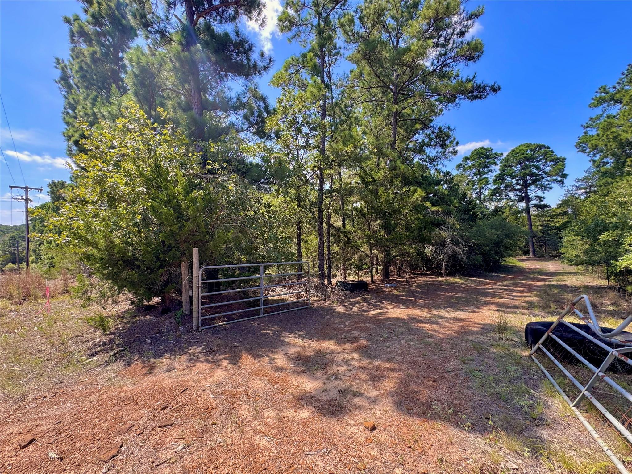 445 Pine Valley LOOP
