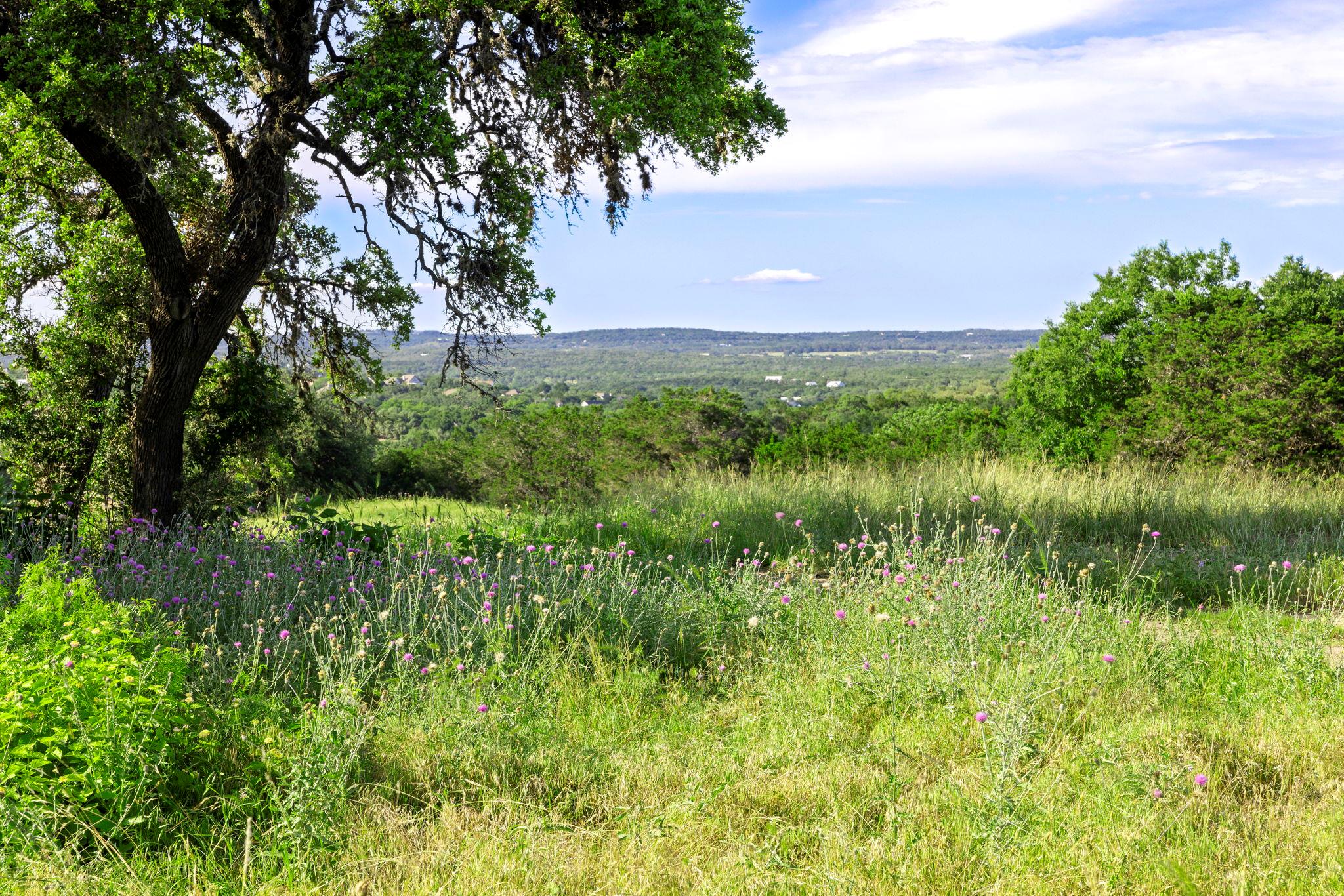 3 Shilo CIR