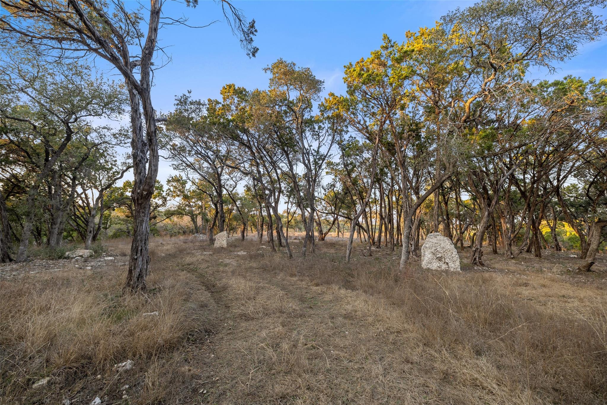 5946 Grotto Creek CT