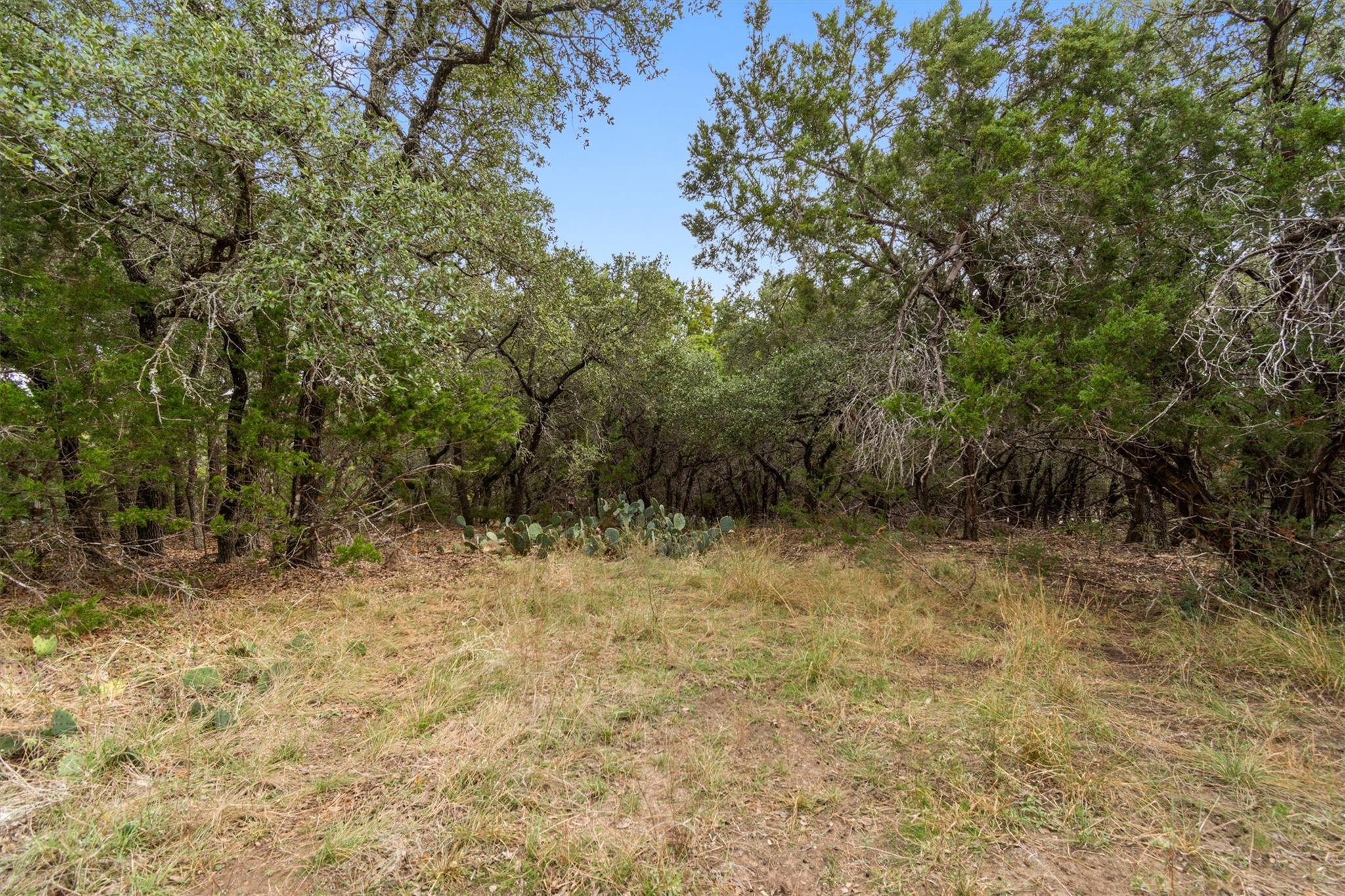 21002 SANTA ROSA Ave