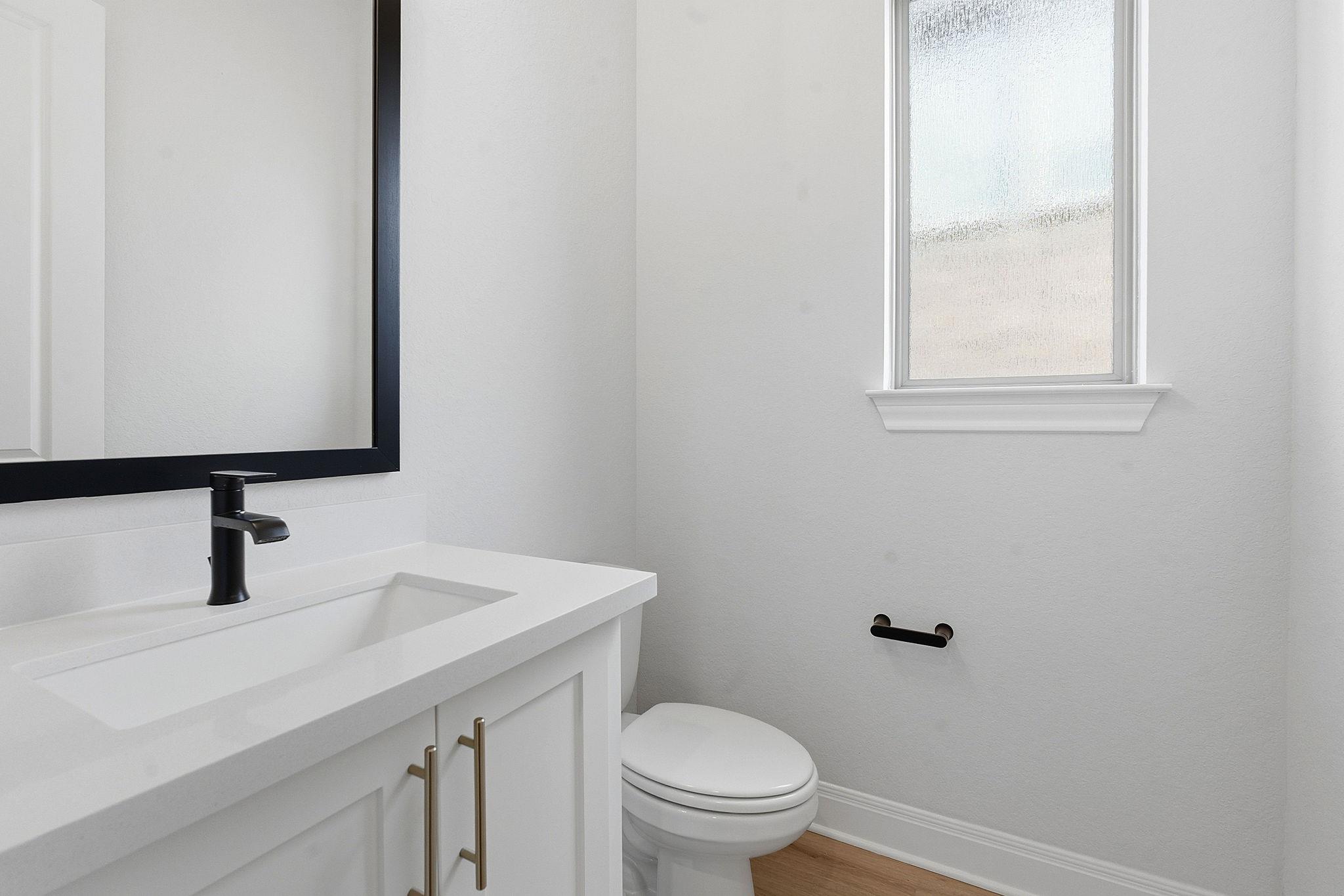 276 Prickly Poppy LOOP