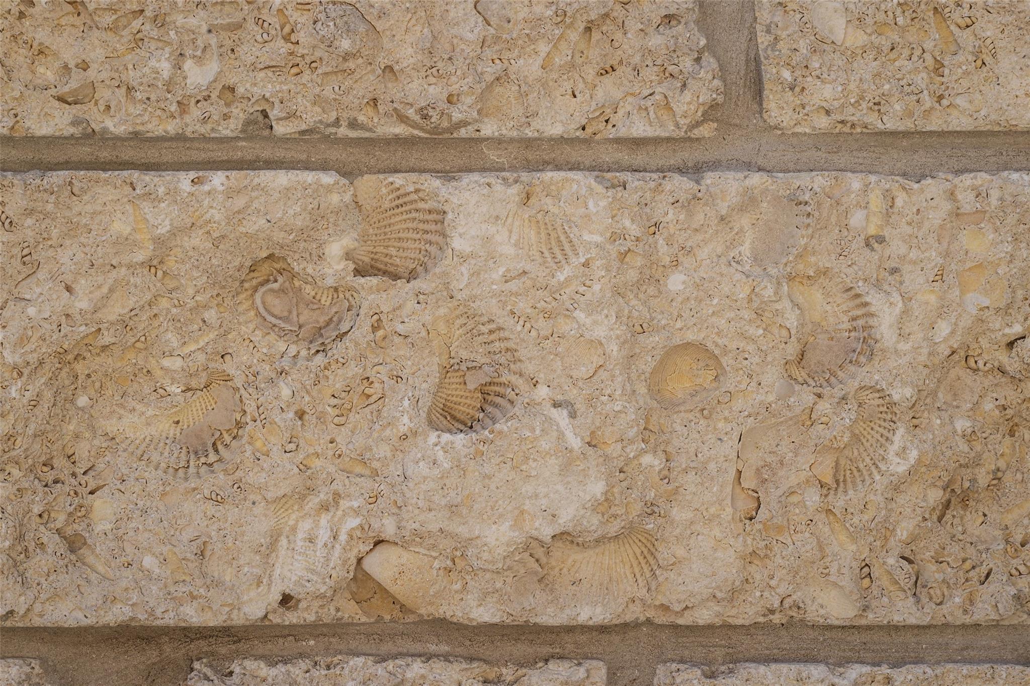 3500 Pecan Springs RD # 10