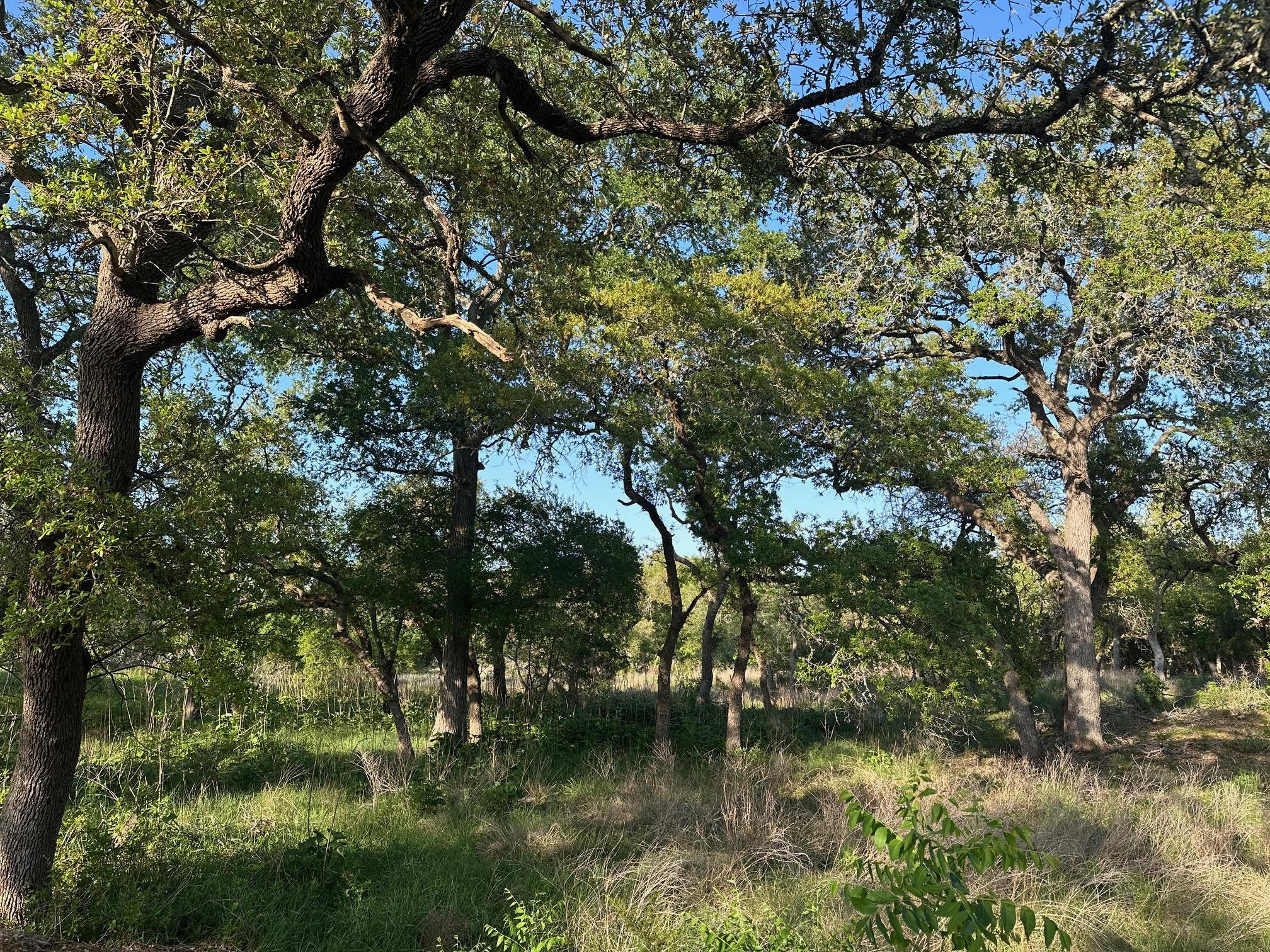 TBD S Rainbow Ranch RD