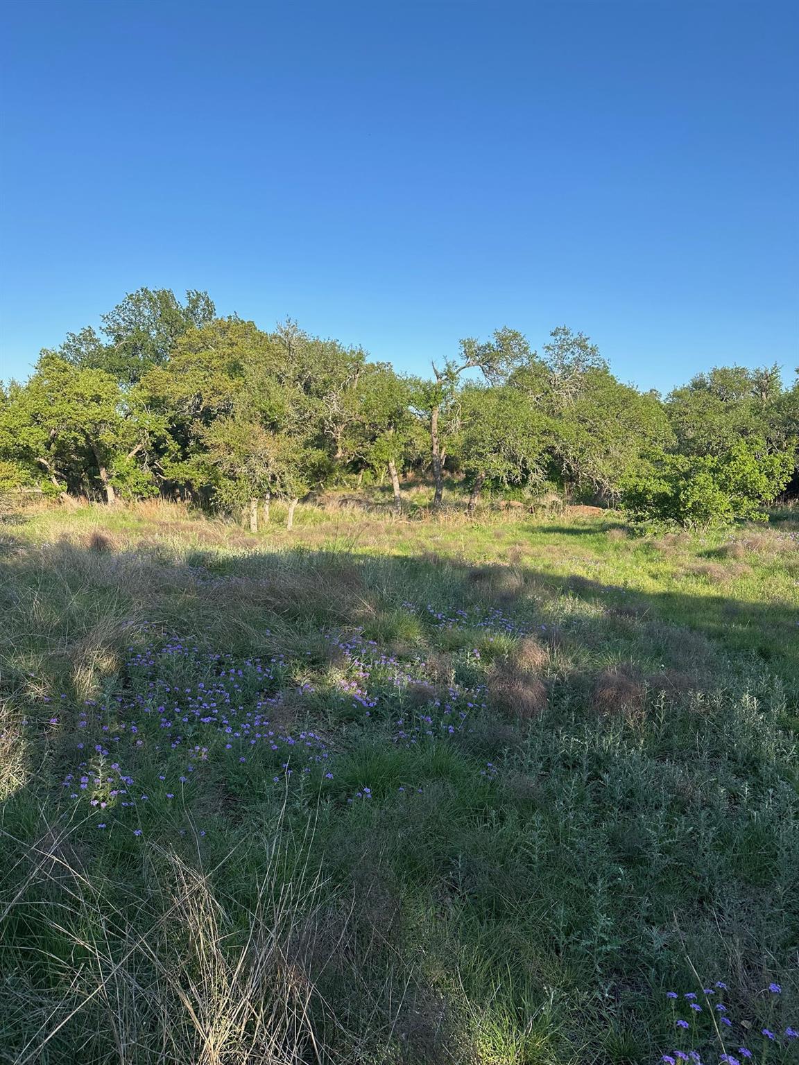 TBD S Rainbow Ranch RD