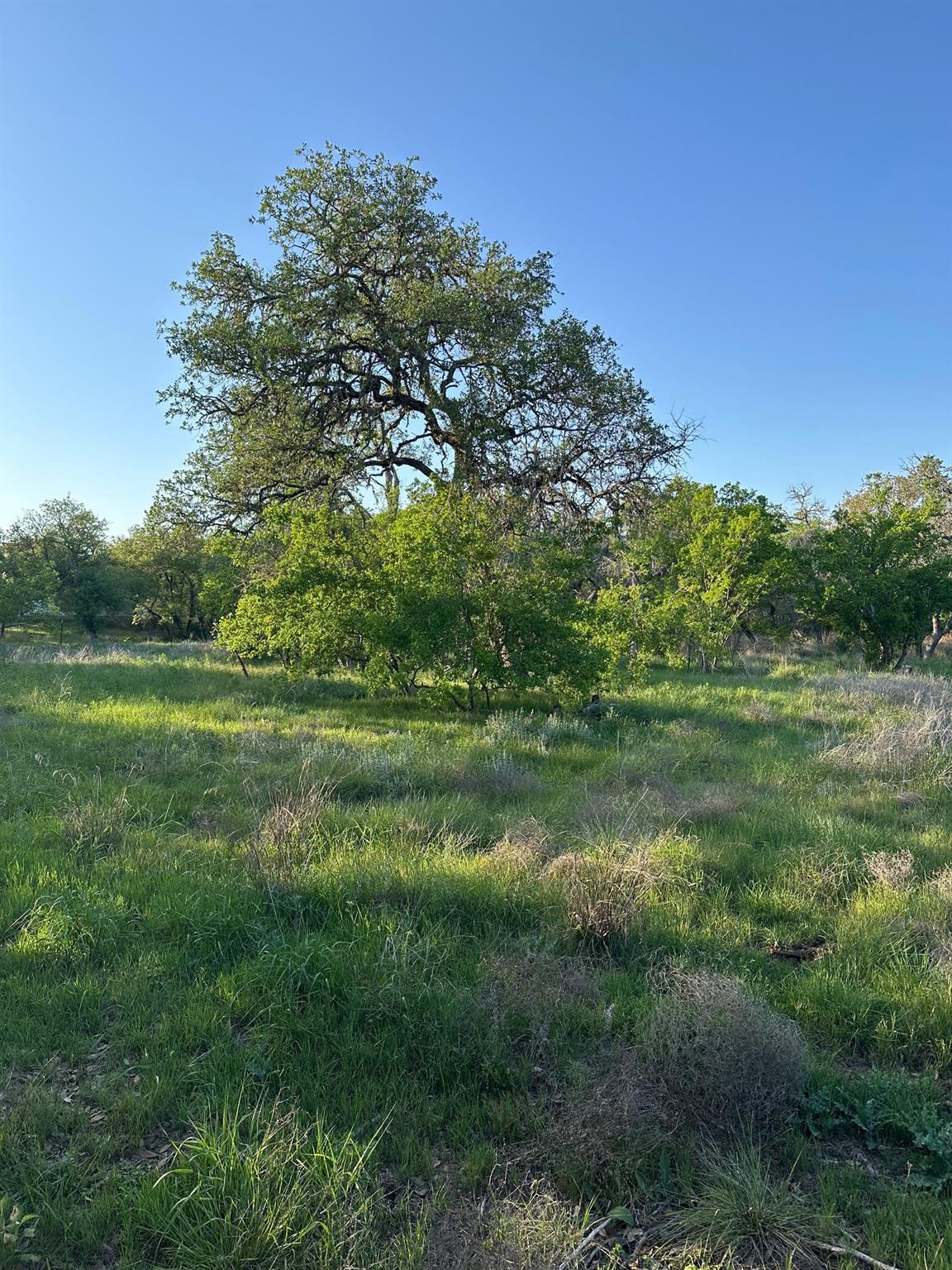 TBD S Rainbow Ranch RD