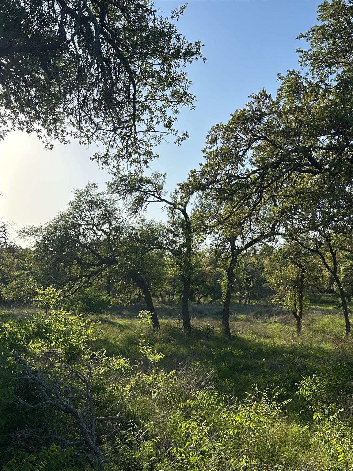 TBD S Rainbow Ranch RD
