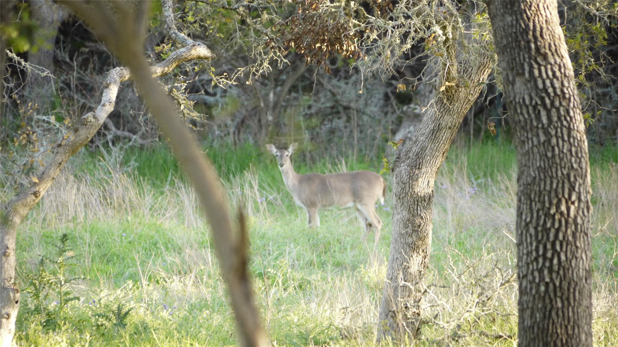 TBD S Rainbow Ranch RD