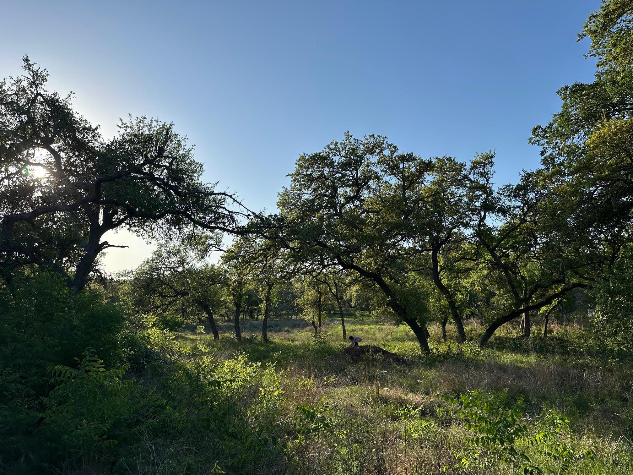 TBD S Rainbow Ranch RD