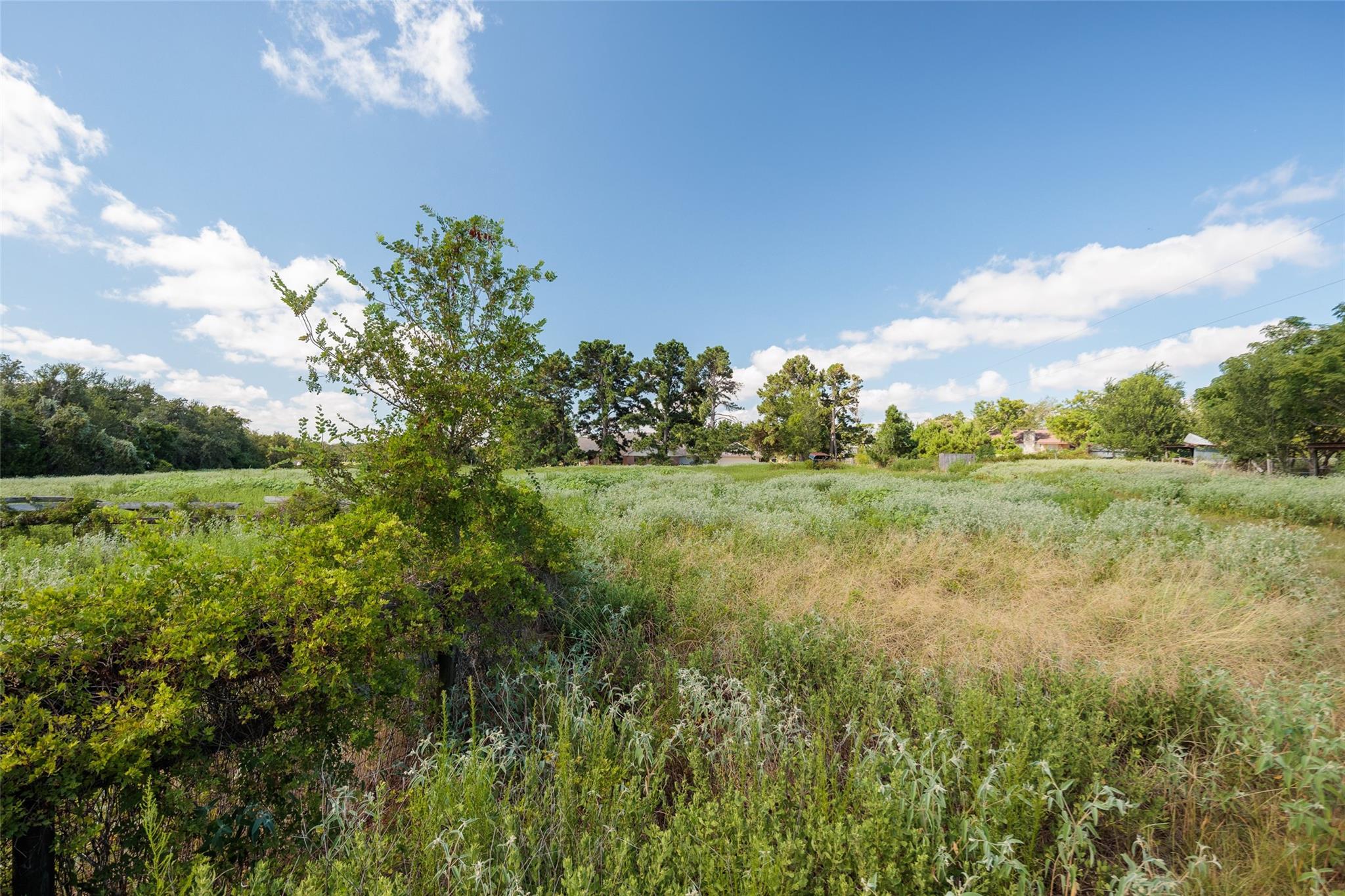 161 County Road 441