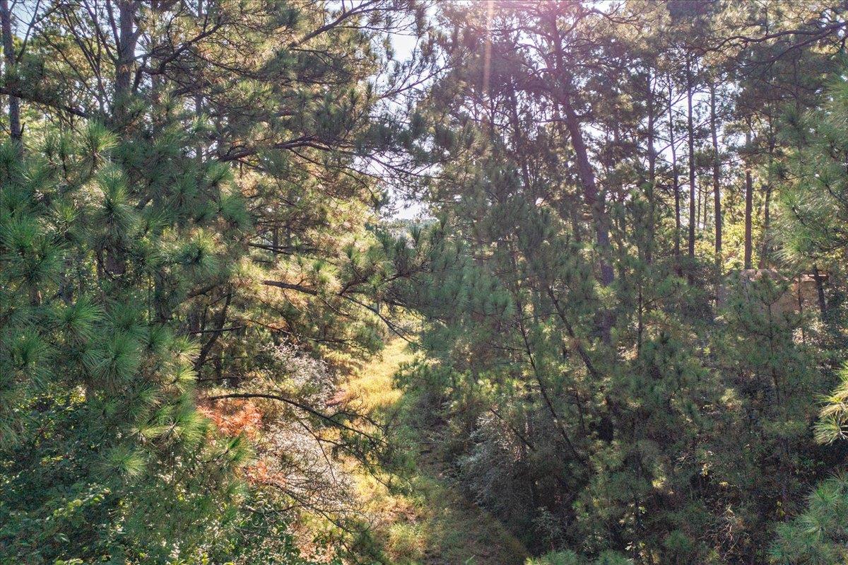 0 AKALOA DR