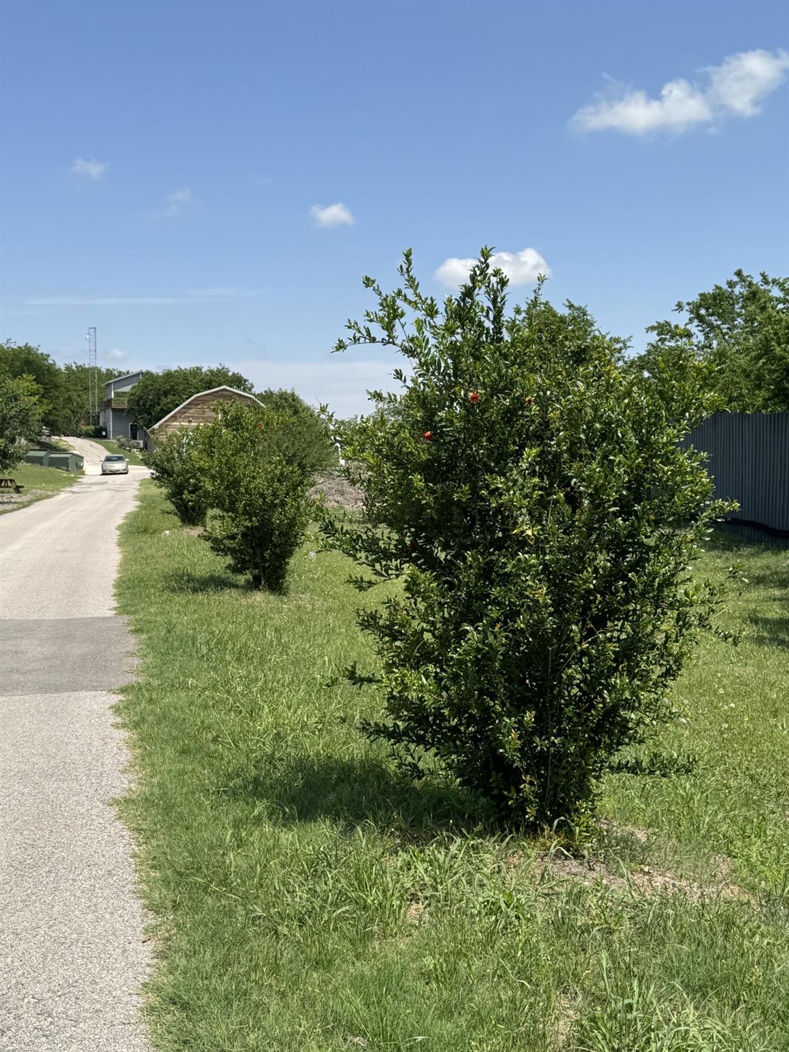 145 Kai Vista DR