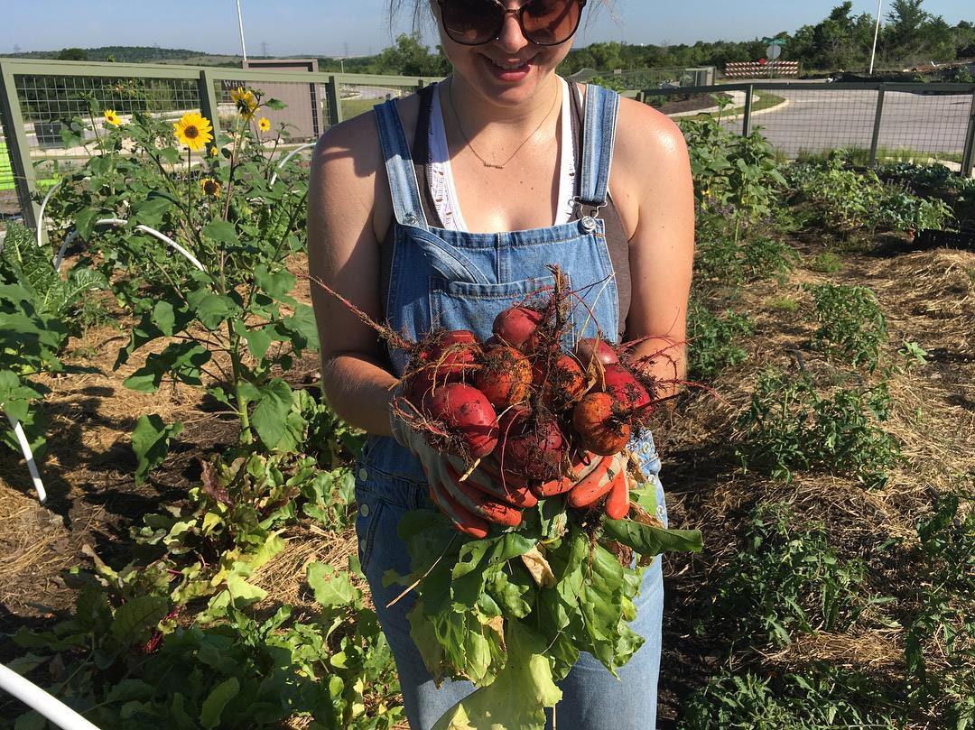 9801 Petrichor BLVD, Manor