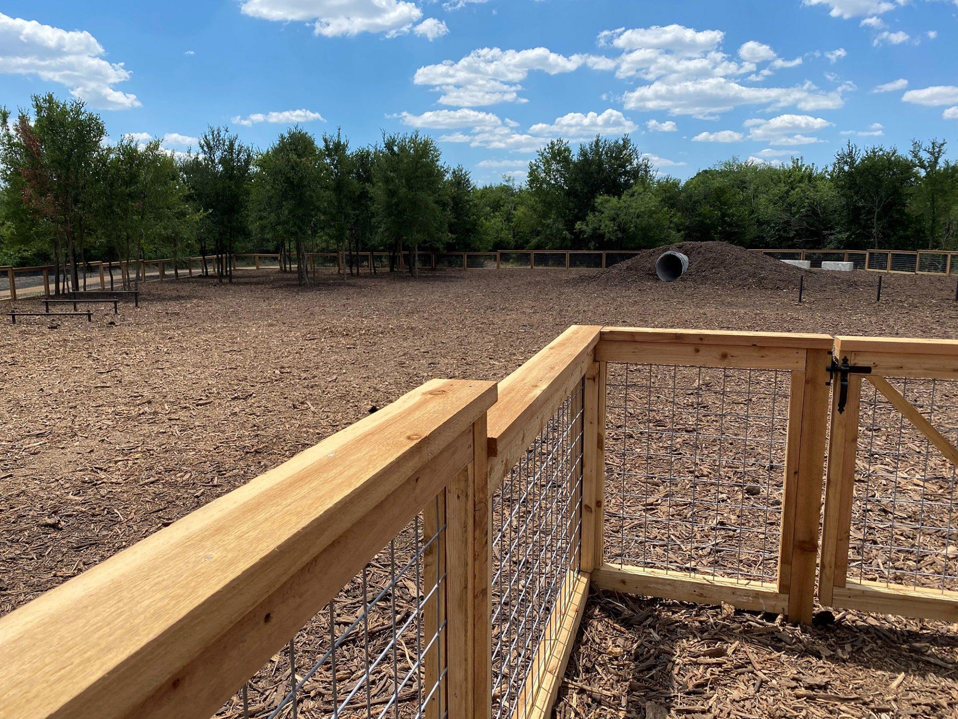 9801 Petrichor BLVD, Manor