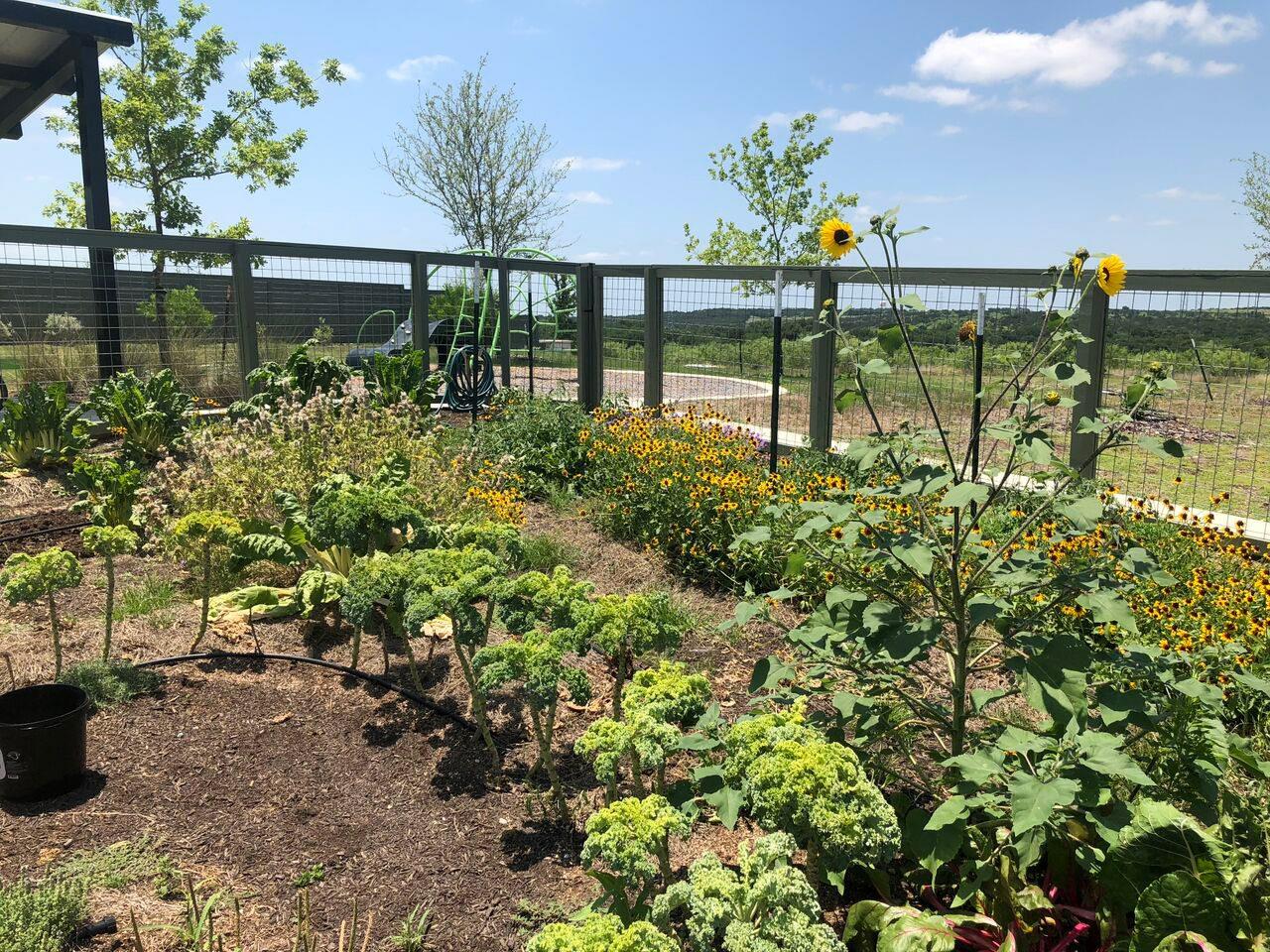 9801 Petrichor BLVD, Manor