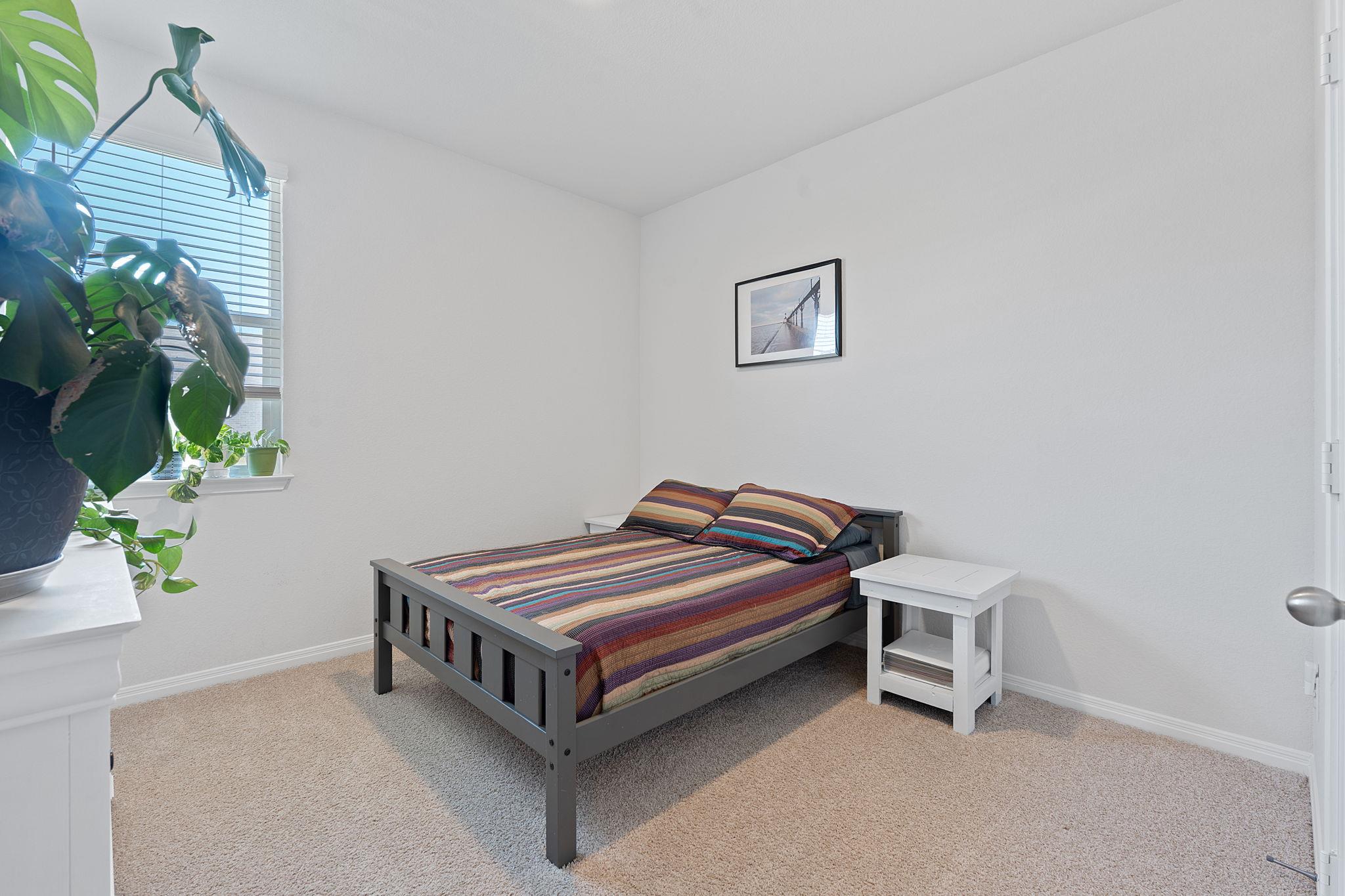 111 Evergreen Sumac LOOP