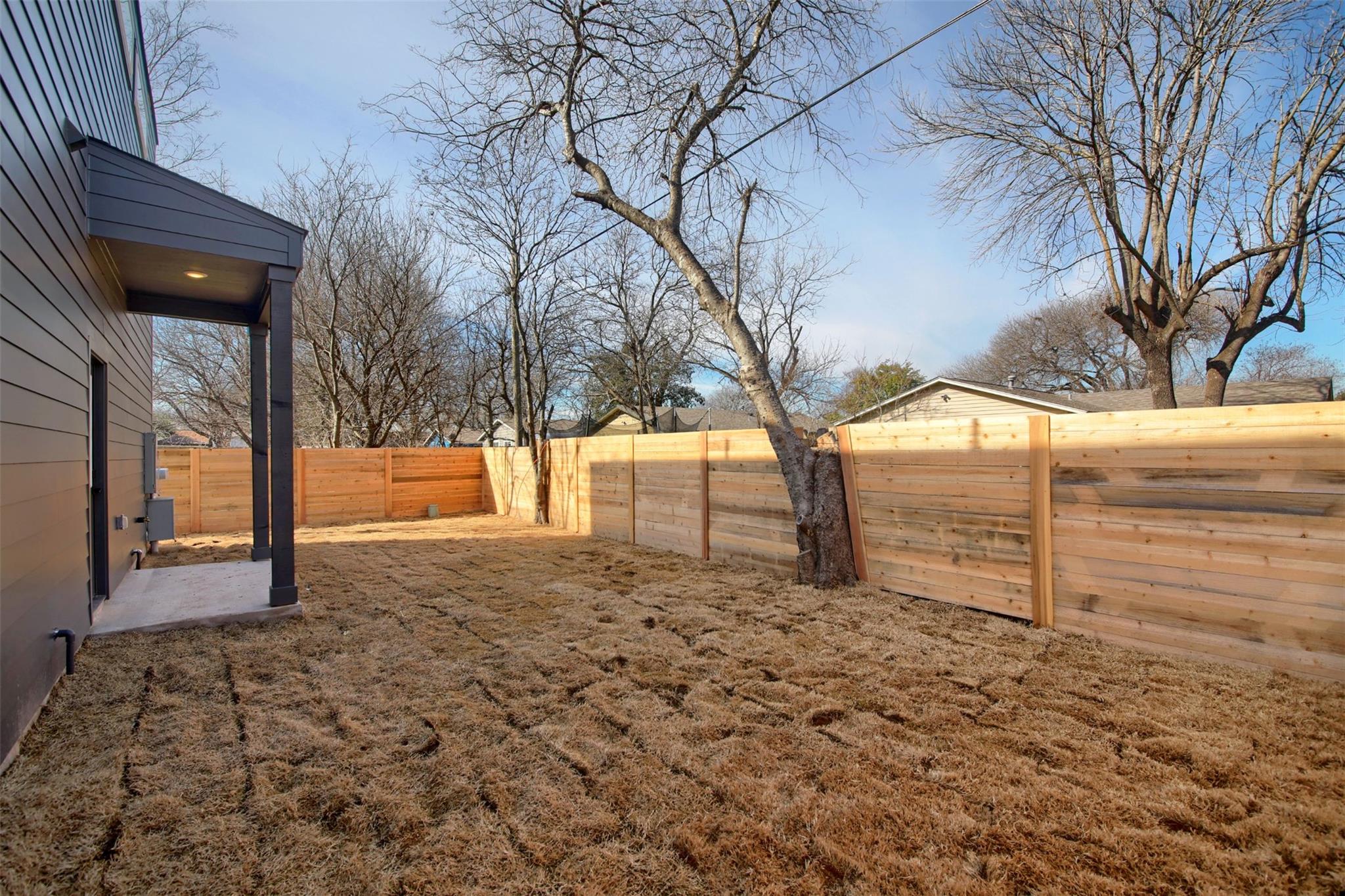 1106 Begonia TER # 2