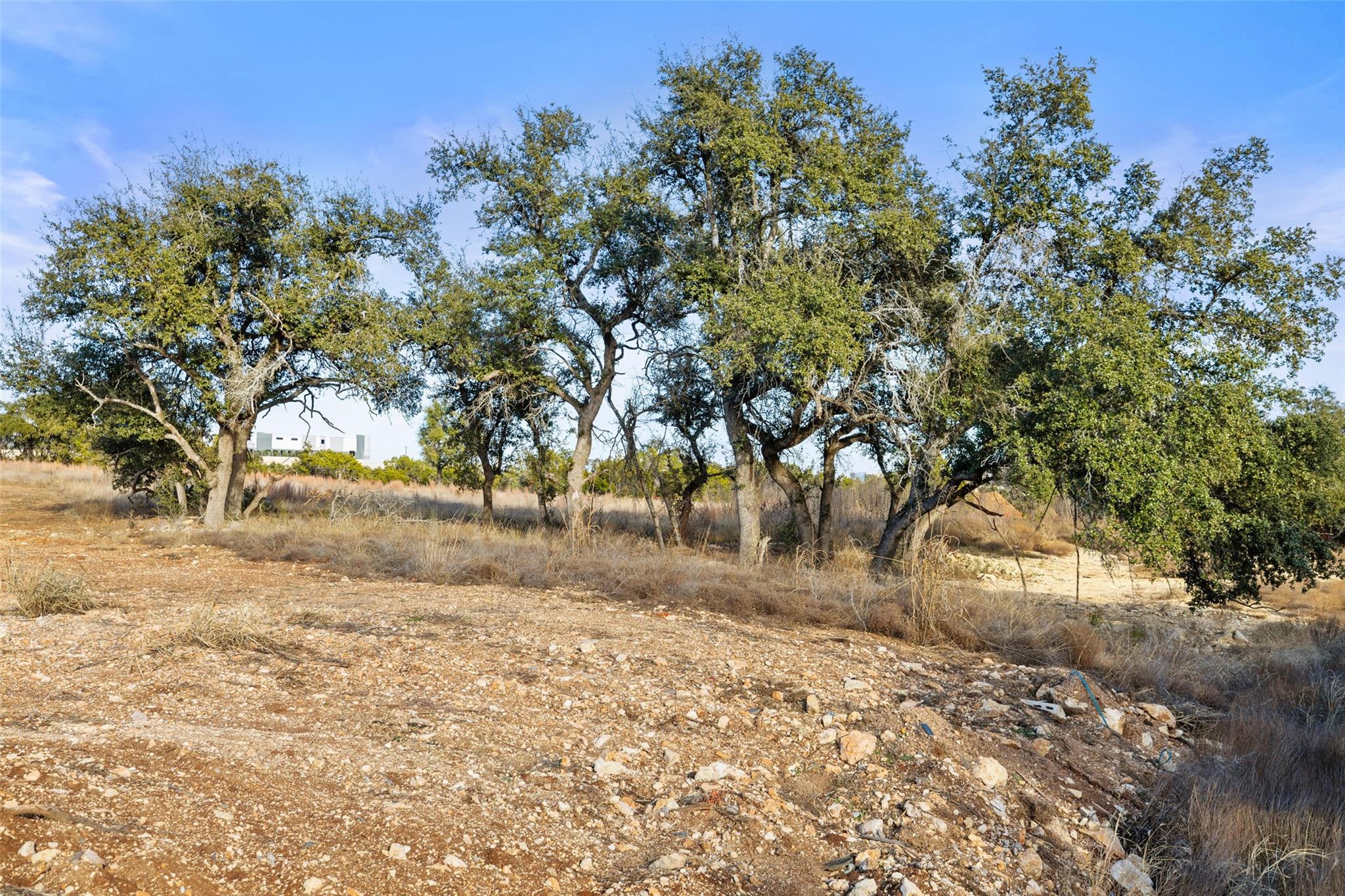 17105 Morning Grove LN