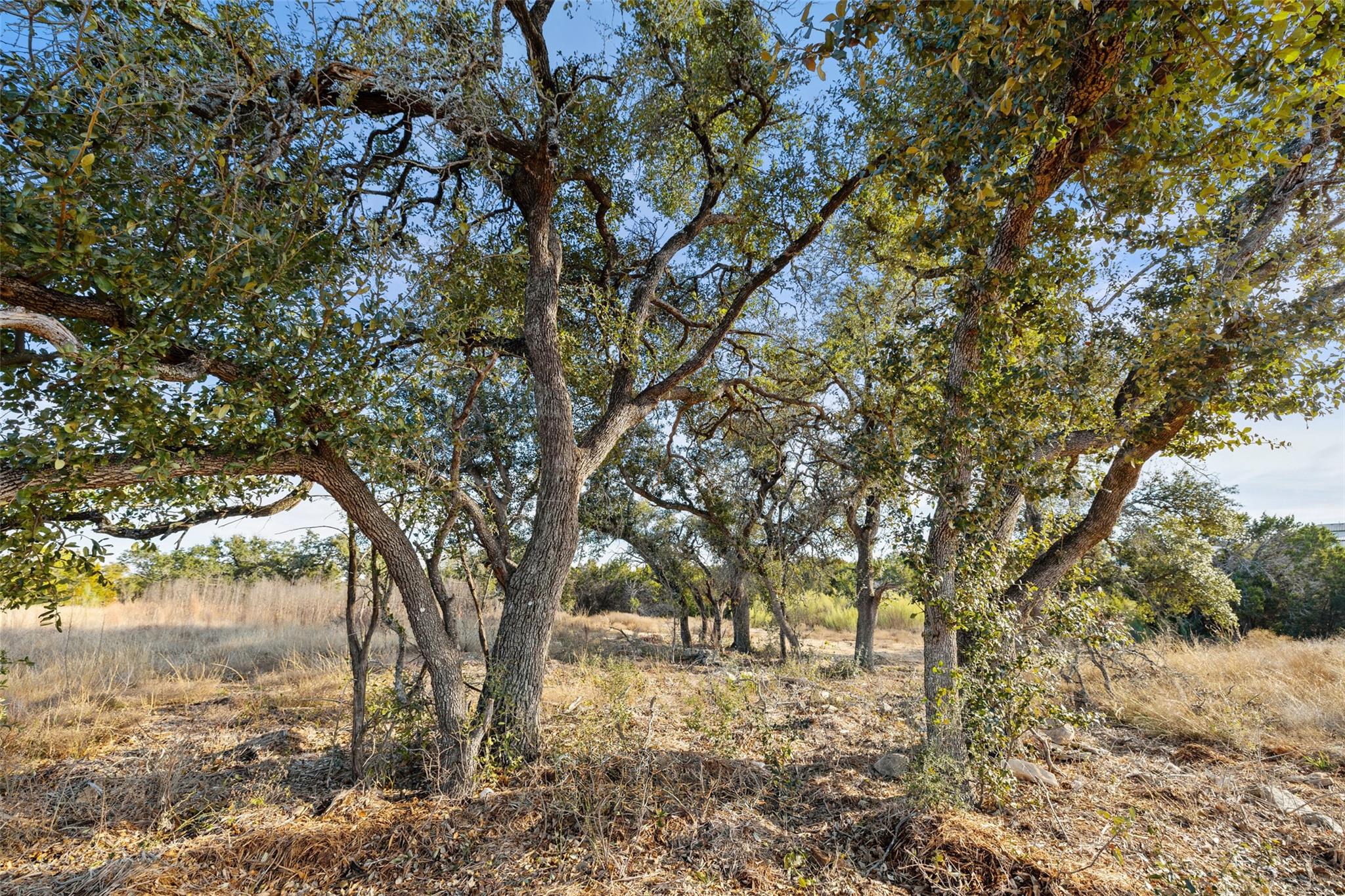 17105 Morning Grove LN