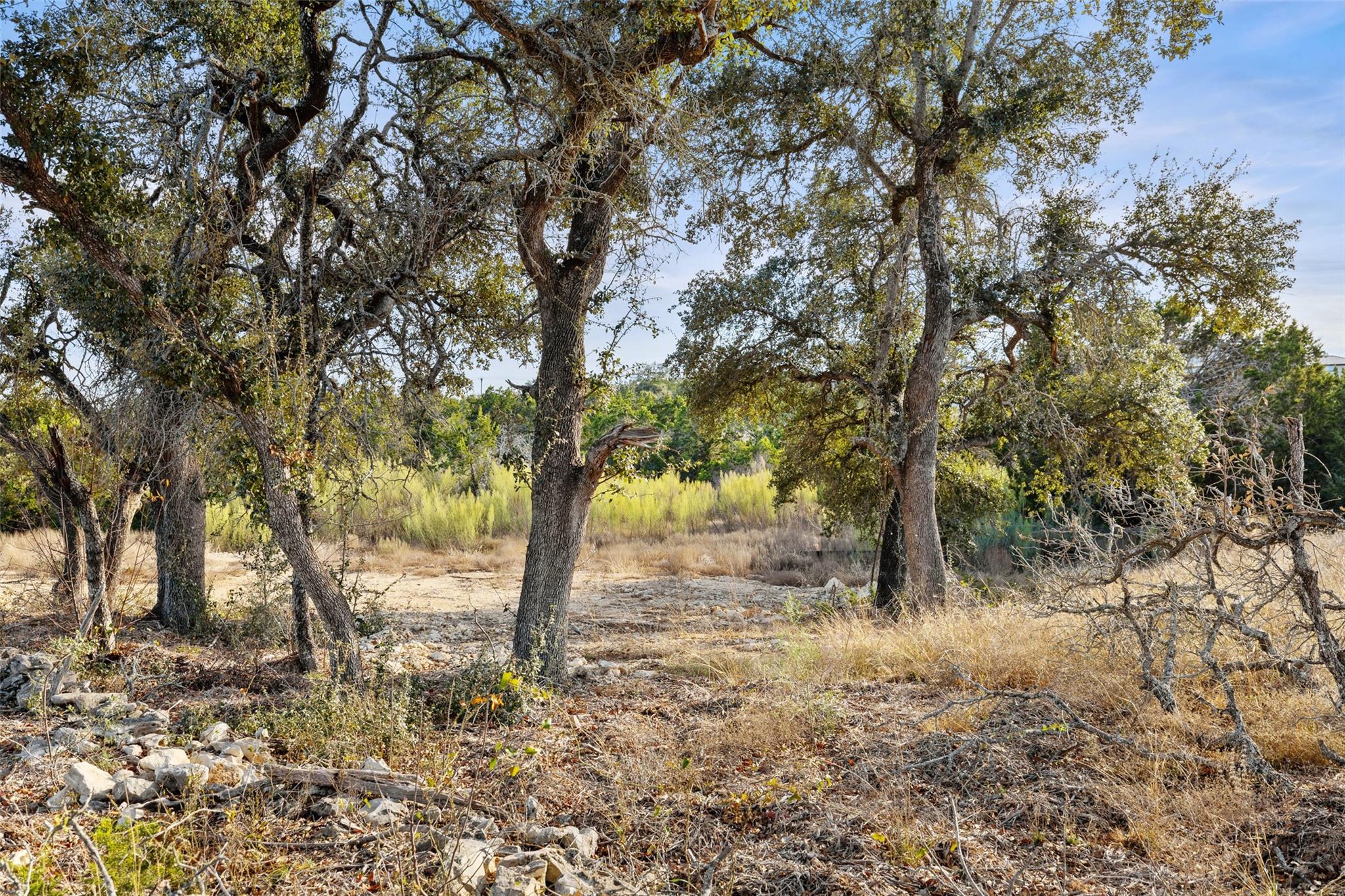 17105 Morning Grove LN