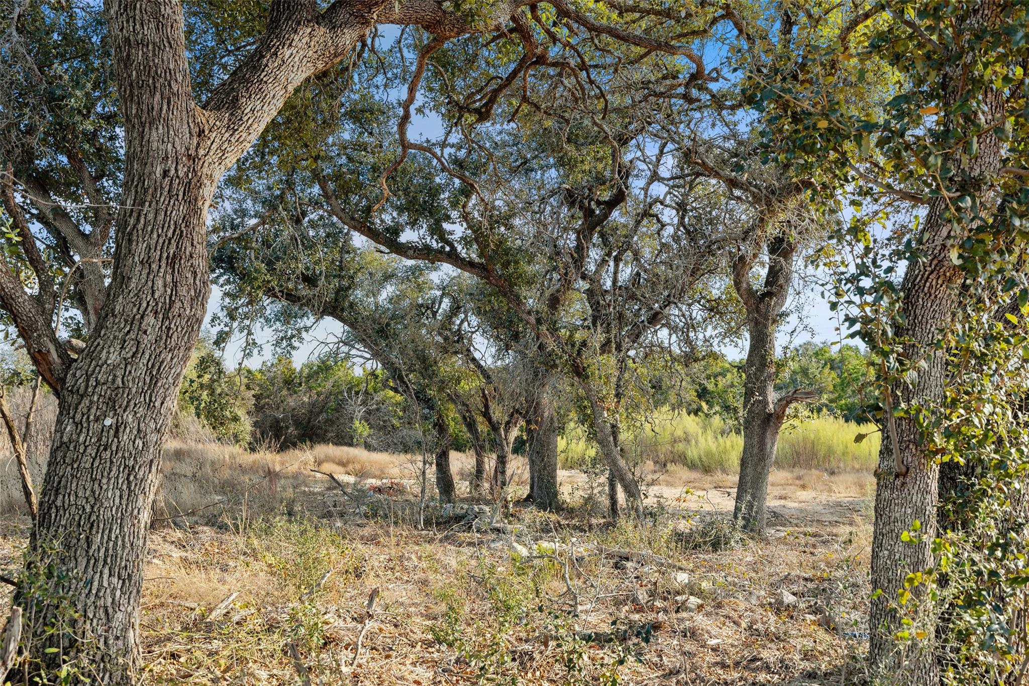 17105 Morning Grove LN