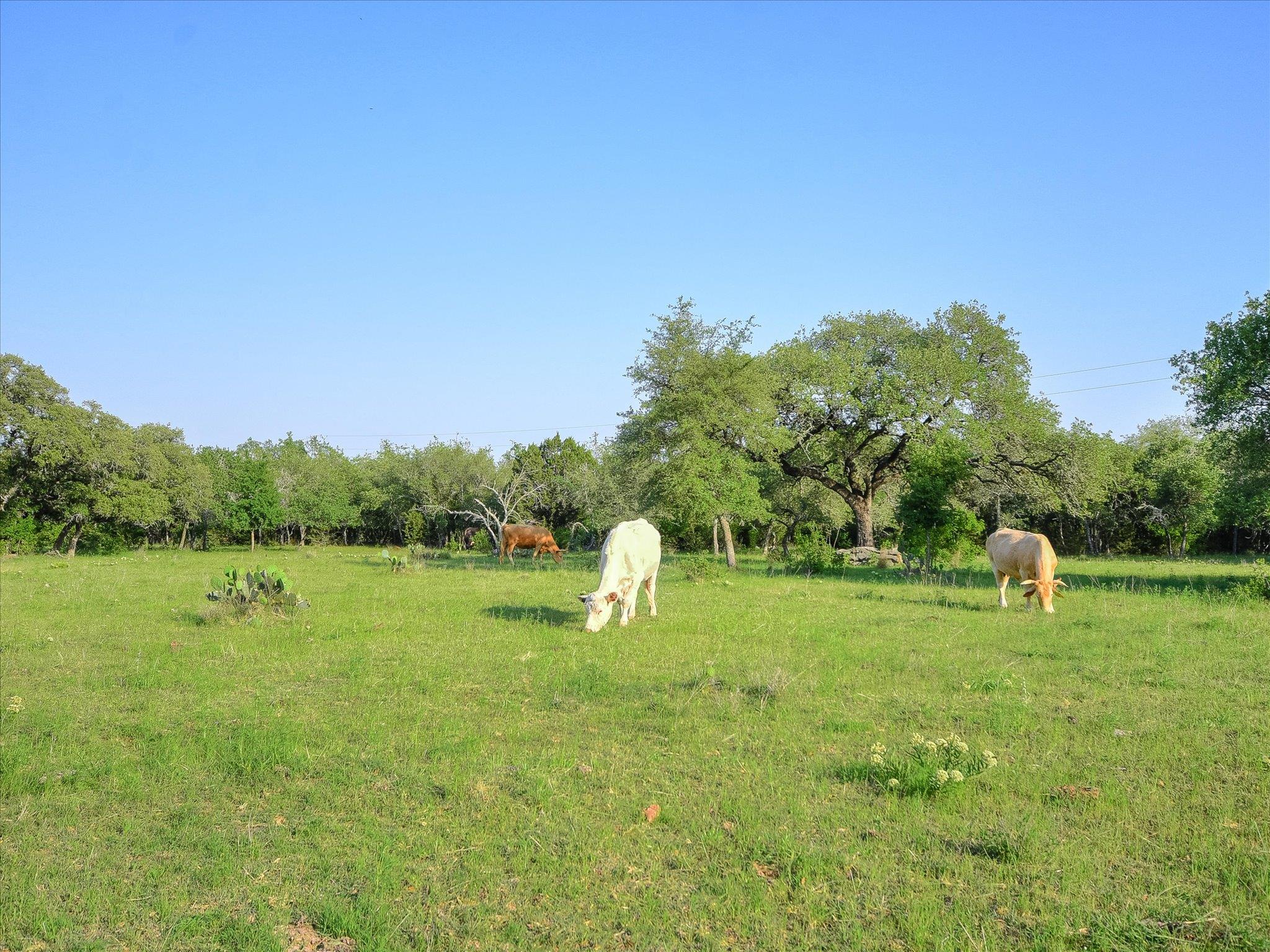 1050 River Mountain RD # A