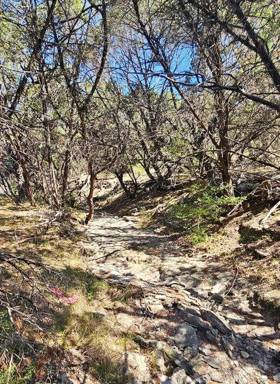 6002 Lost Trail CV